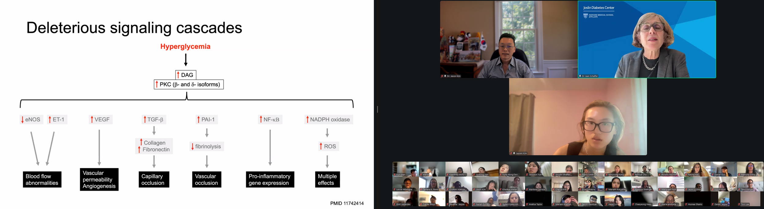 DVSC25-Session 10 Schaffer Slide 6.png