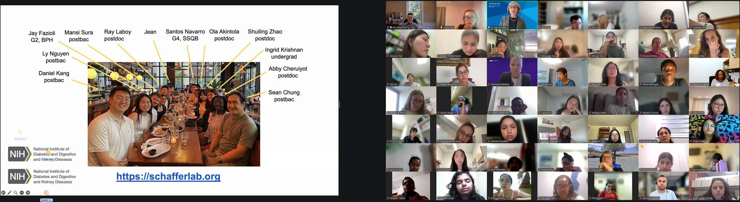 DVSC25-Session 10 Schaffer Acknowledgment.png