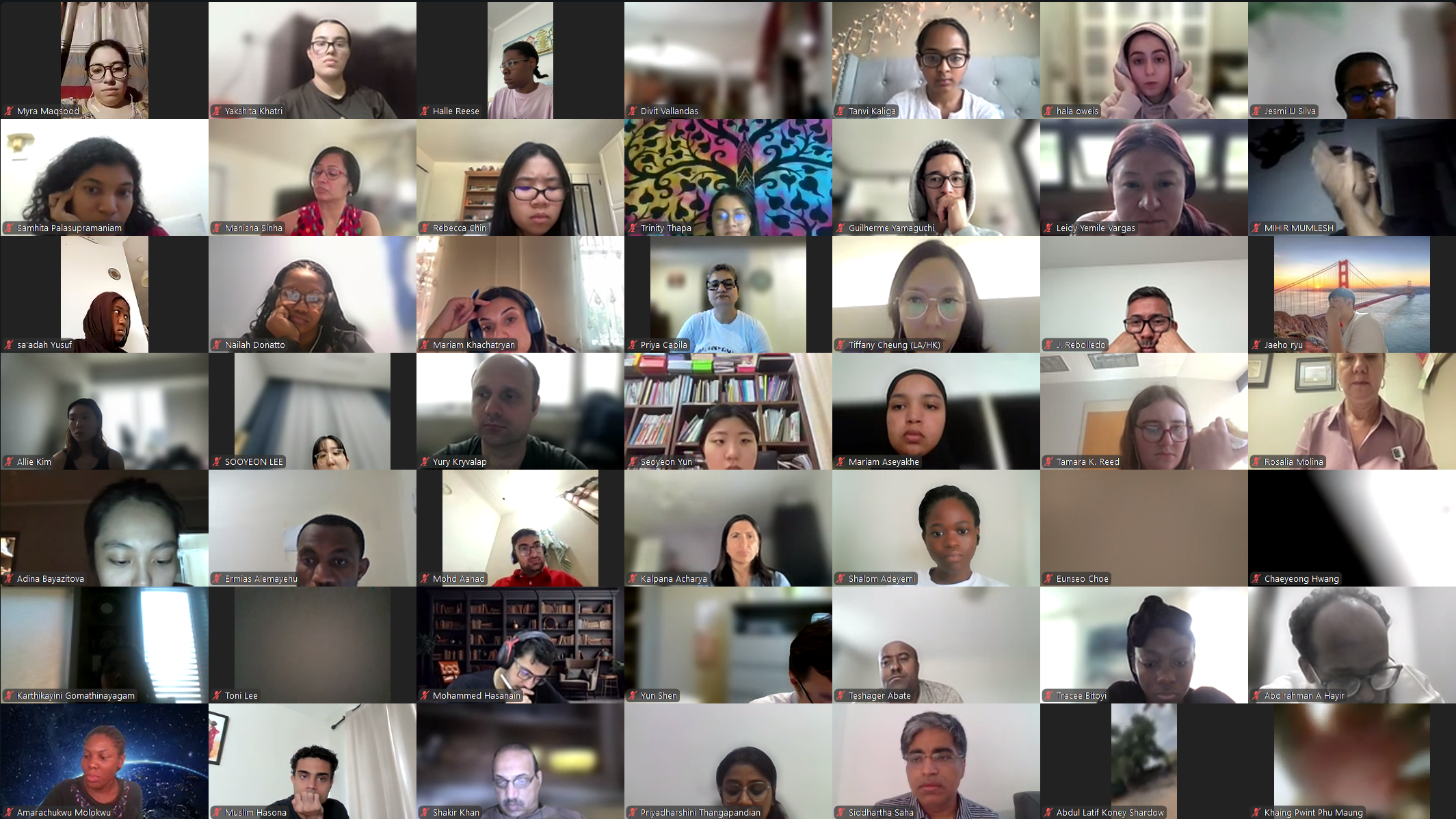 DVSC25-Session 11 Interns 4.png