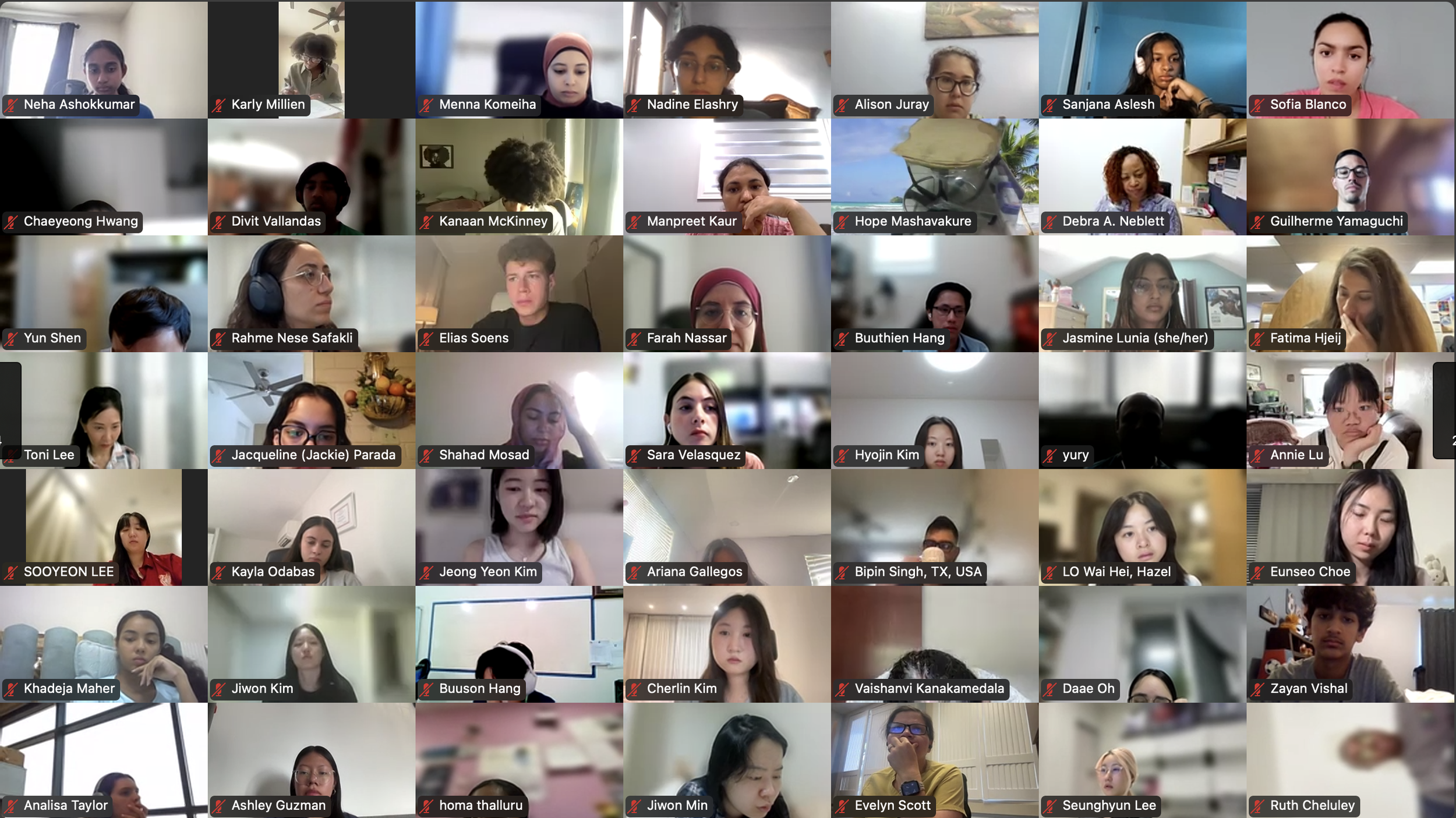 DVSC25-Session 2 Interns 6.png