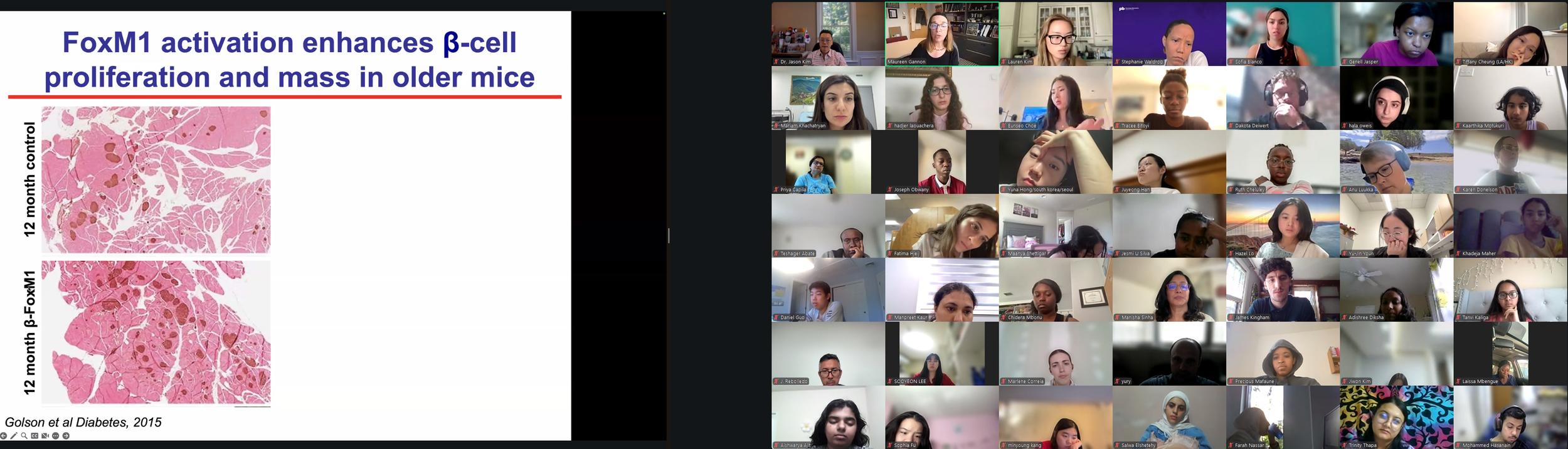 DVSC25-Session 6 Dr. Gannon Slide 5.png