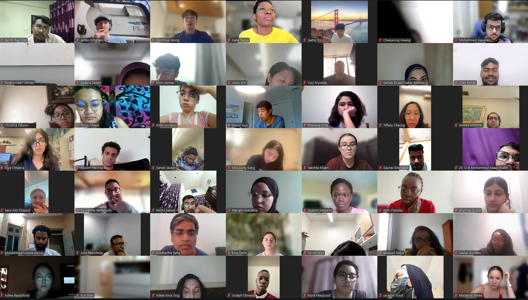 DVSC25-Session 8 Interns 2.png