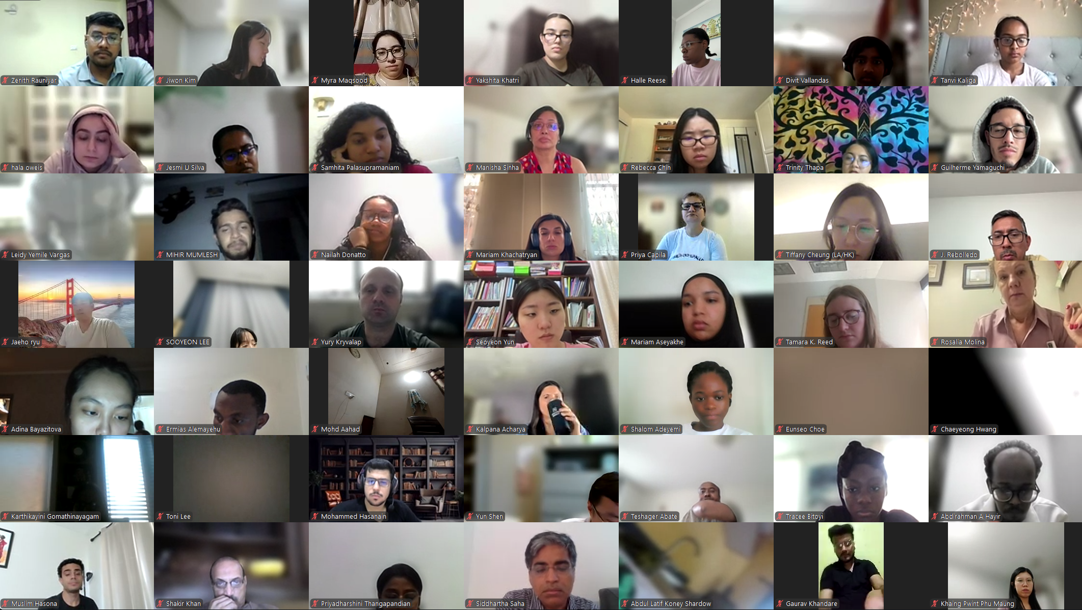DVSC25-Session 11 Interns 5.png