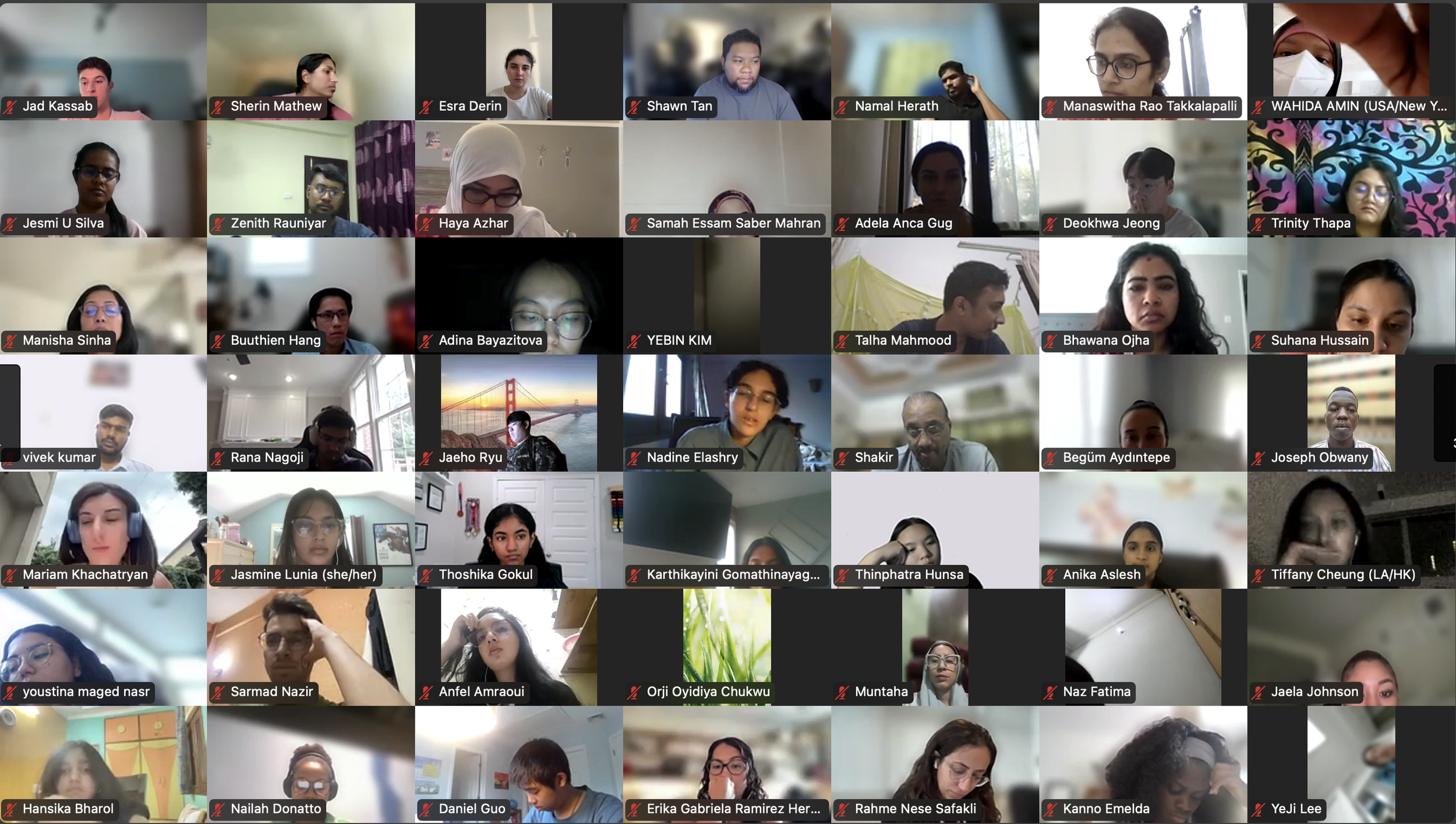 DVSC25-Session 2 Interns 3.png