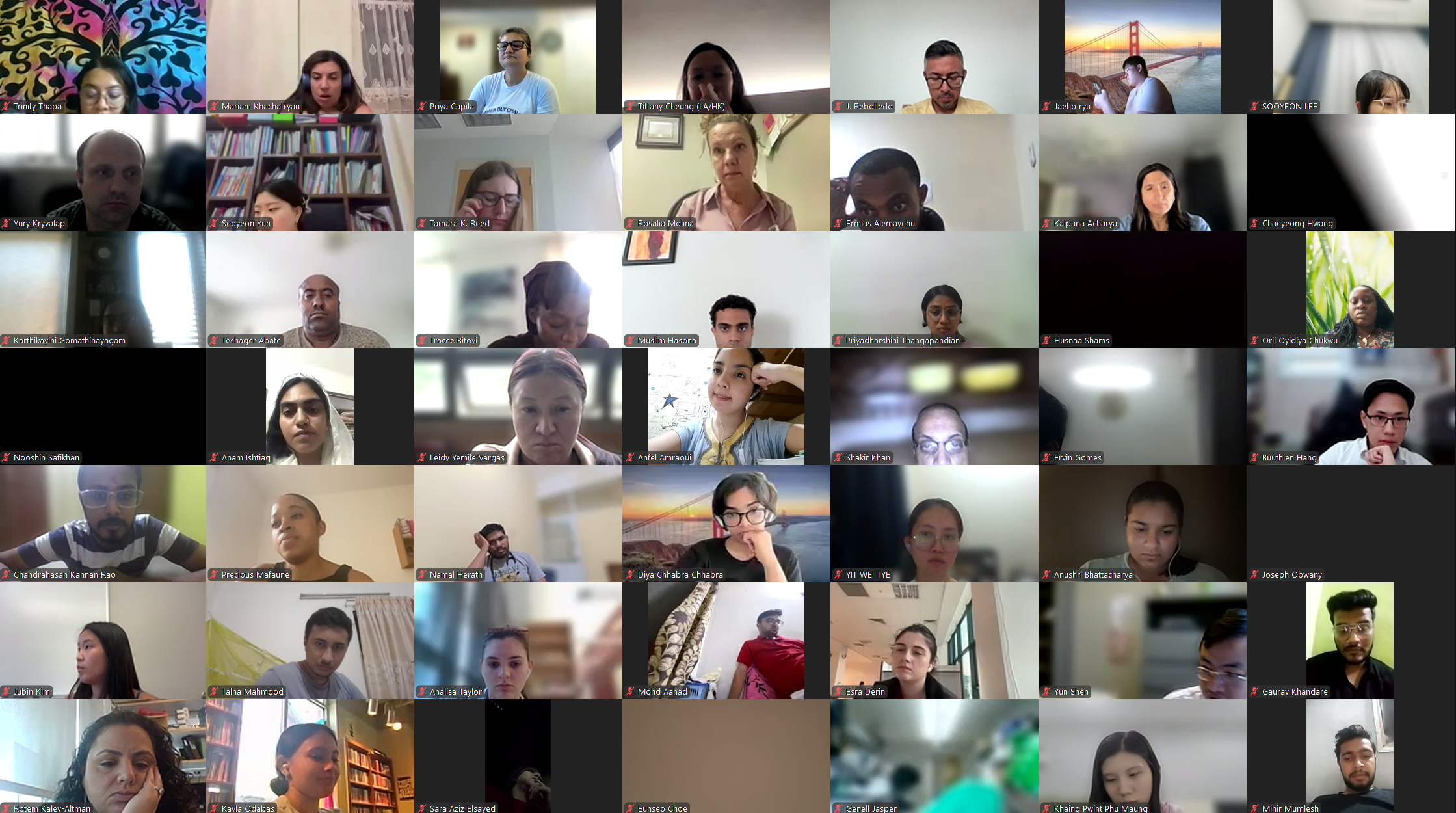 DVSC25-Session 13 Interns 1.png