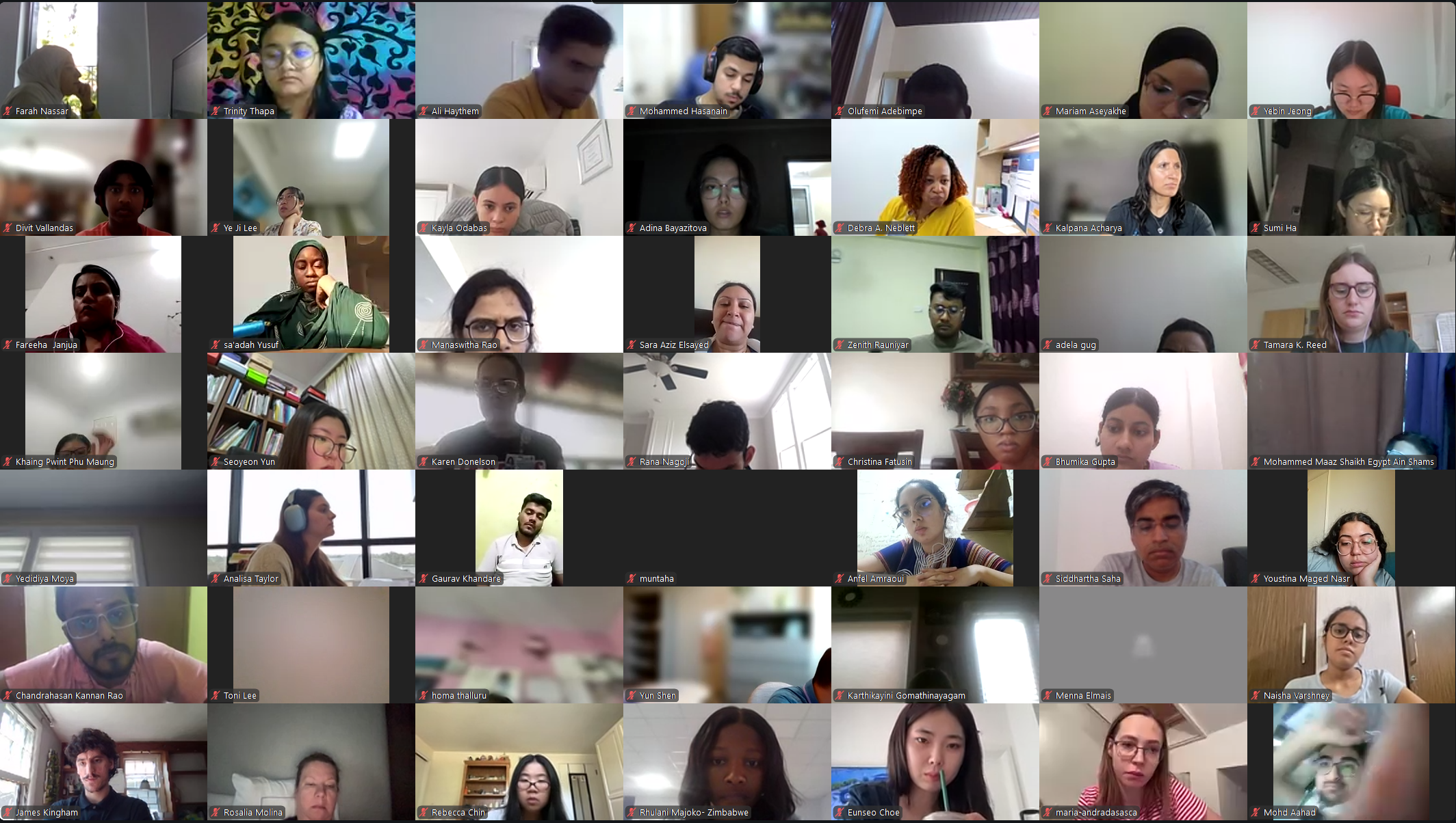 DVSC25-Session 5 Interns 9.png
