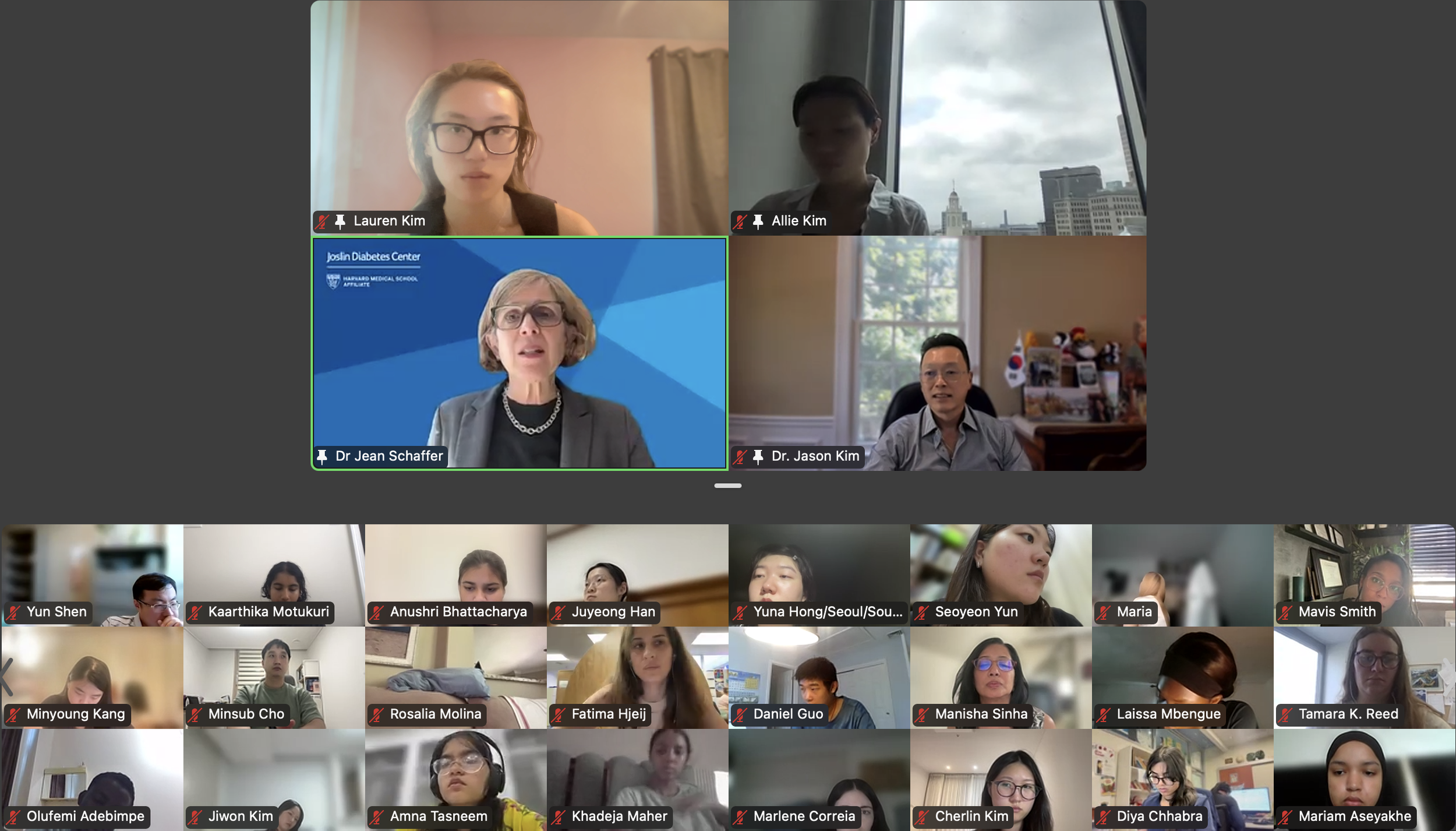 DVSC25-Session 10 Schaffer-Interns 2.png