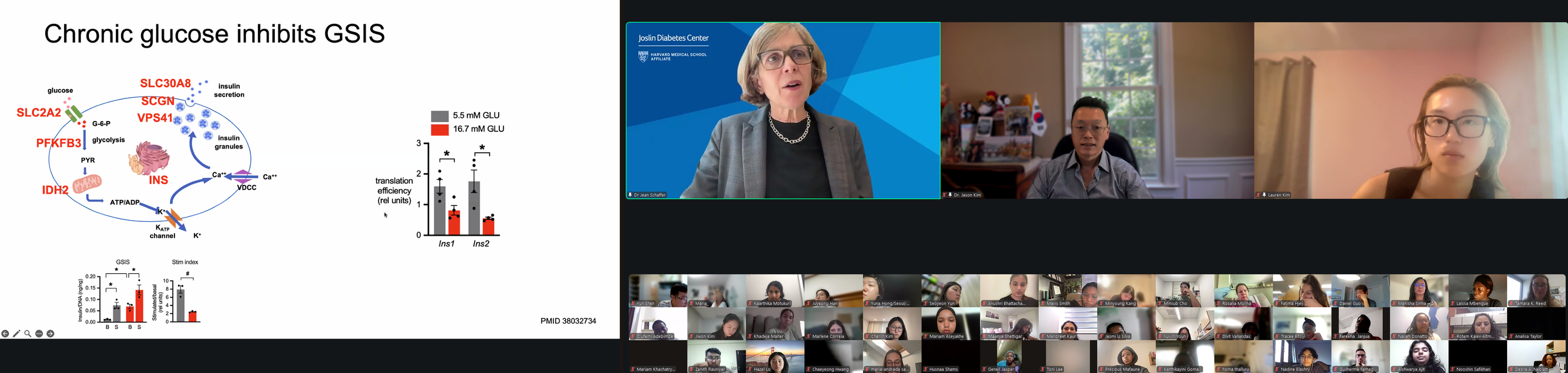 DVSC25-Session 10 Schaffer Slide 12.png