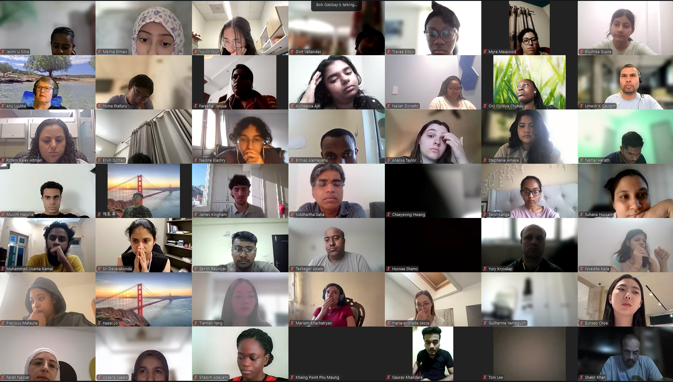 DVSC25-Session 9 Interns 5.png