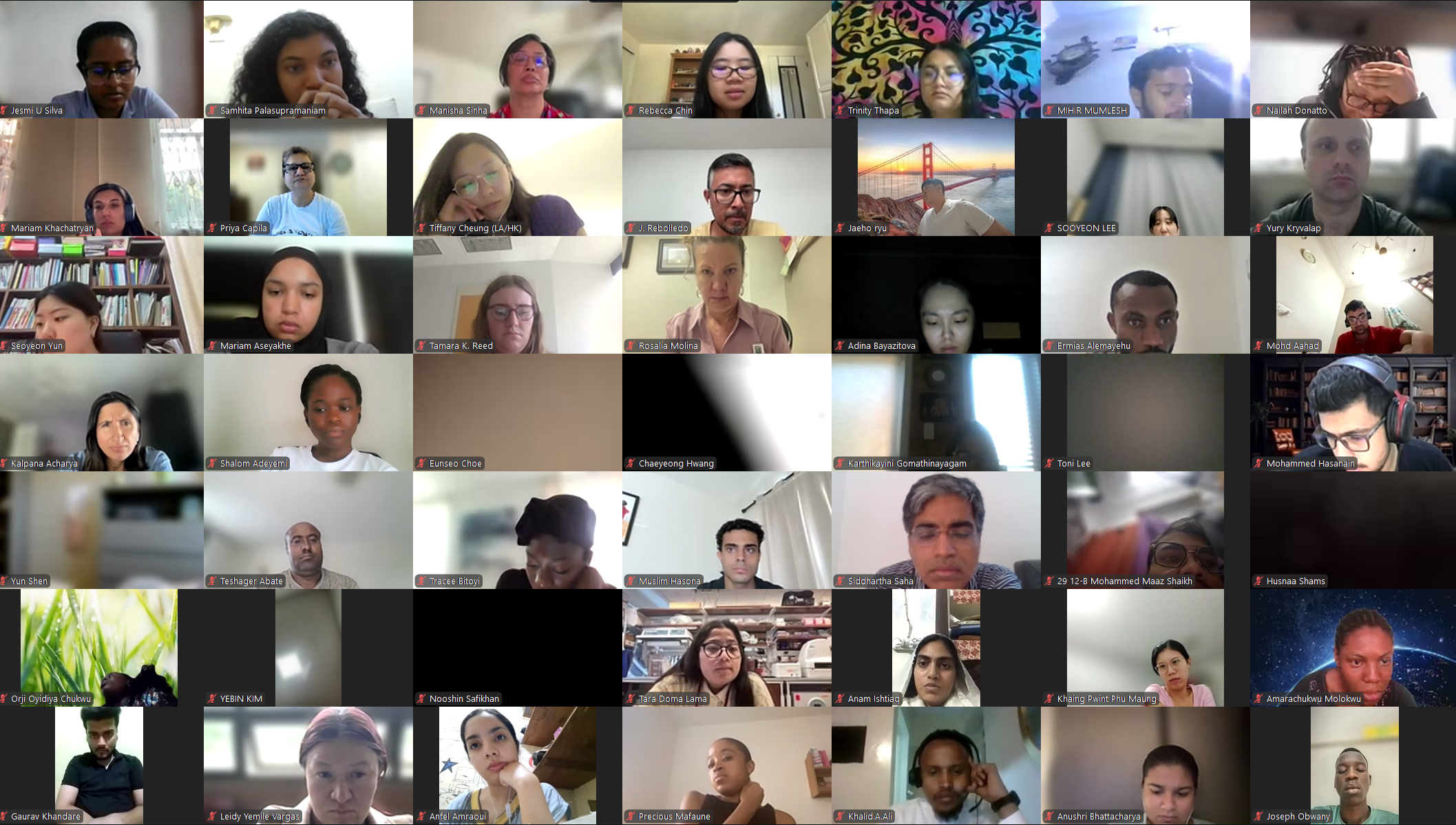 DVSC25-Session 11 Interns 9.png