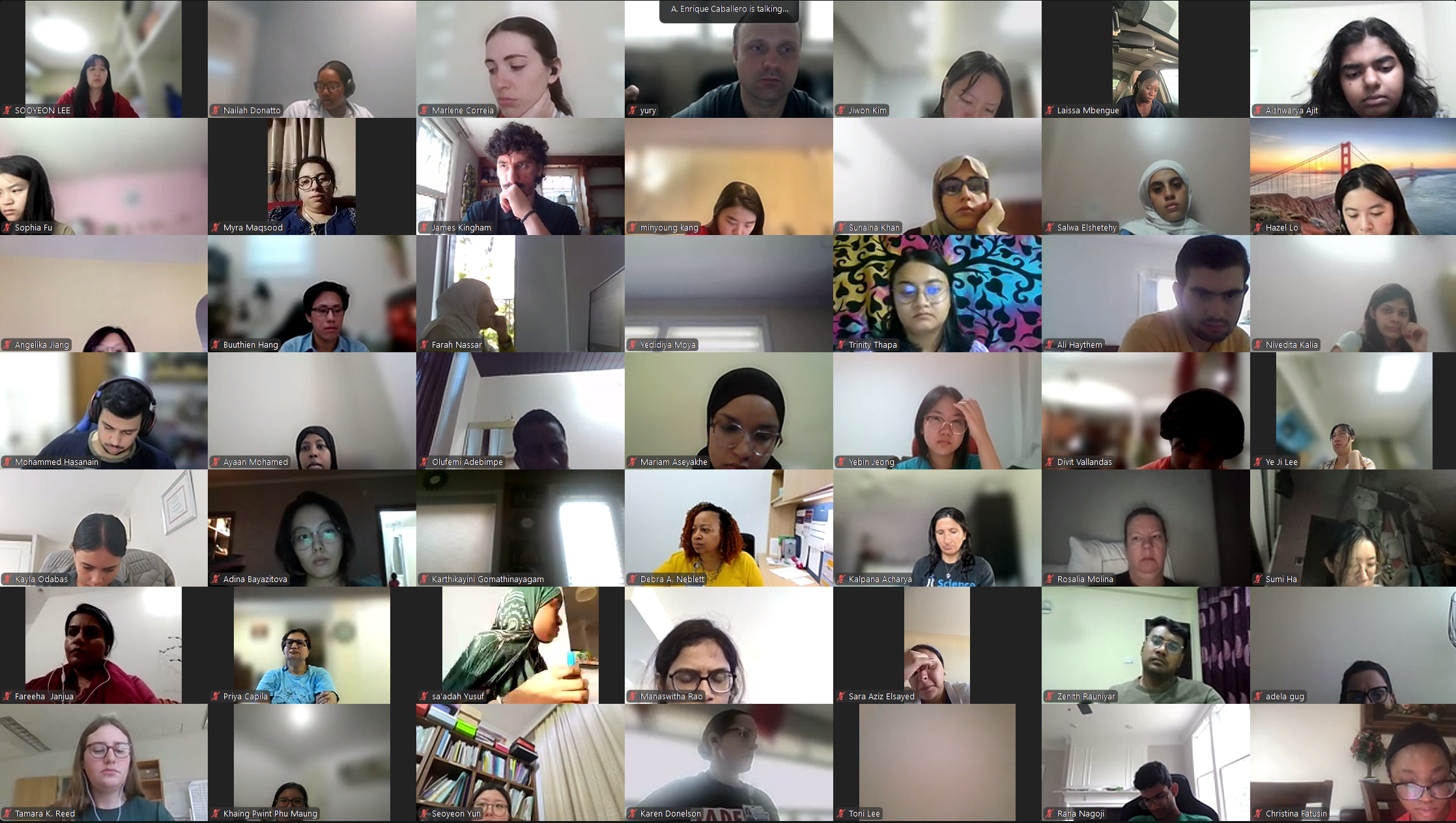 DVSC25-Session 5 Interns 4.png
