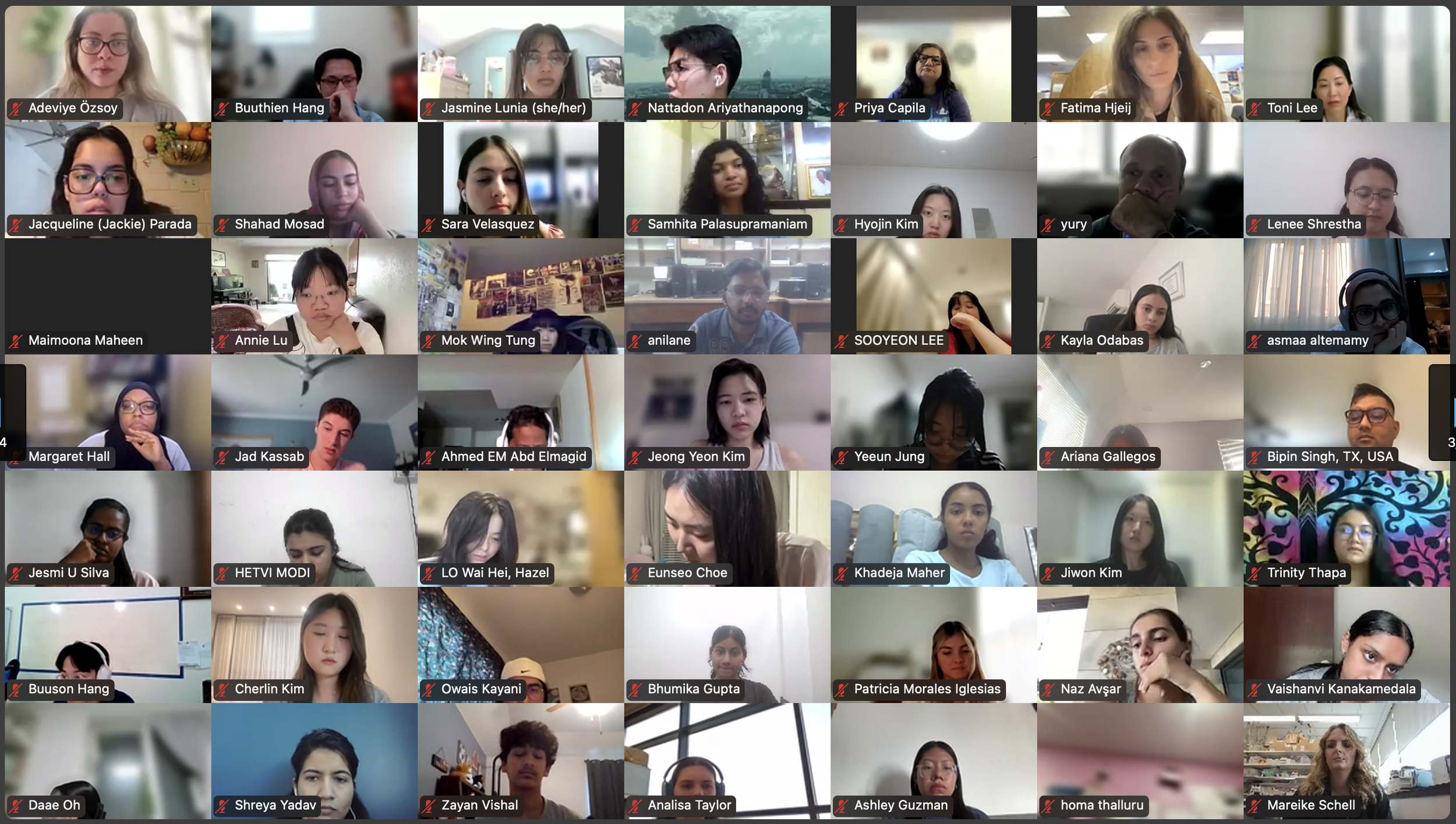 DVSC25-Session 1 Interns 2.png