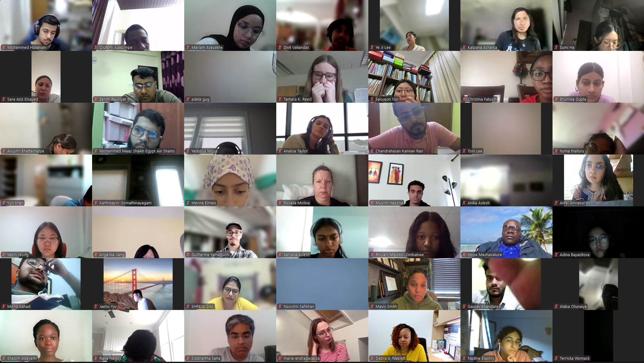 DVSC25-Session 6 Interns 1.png