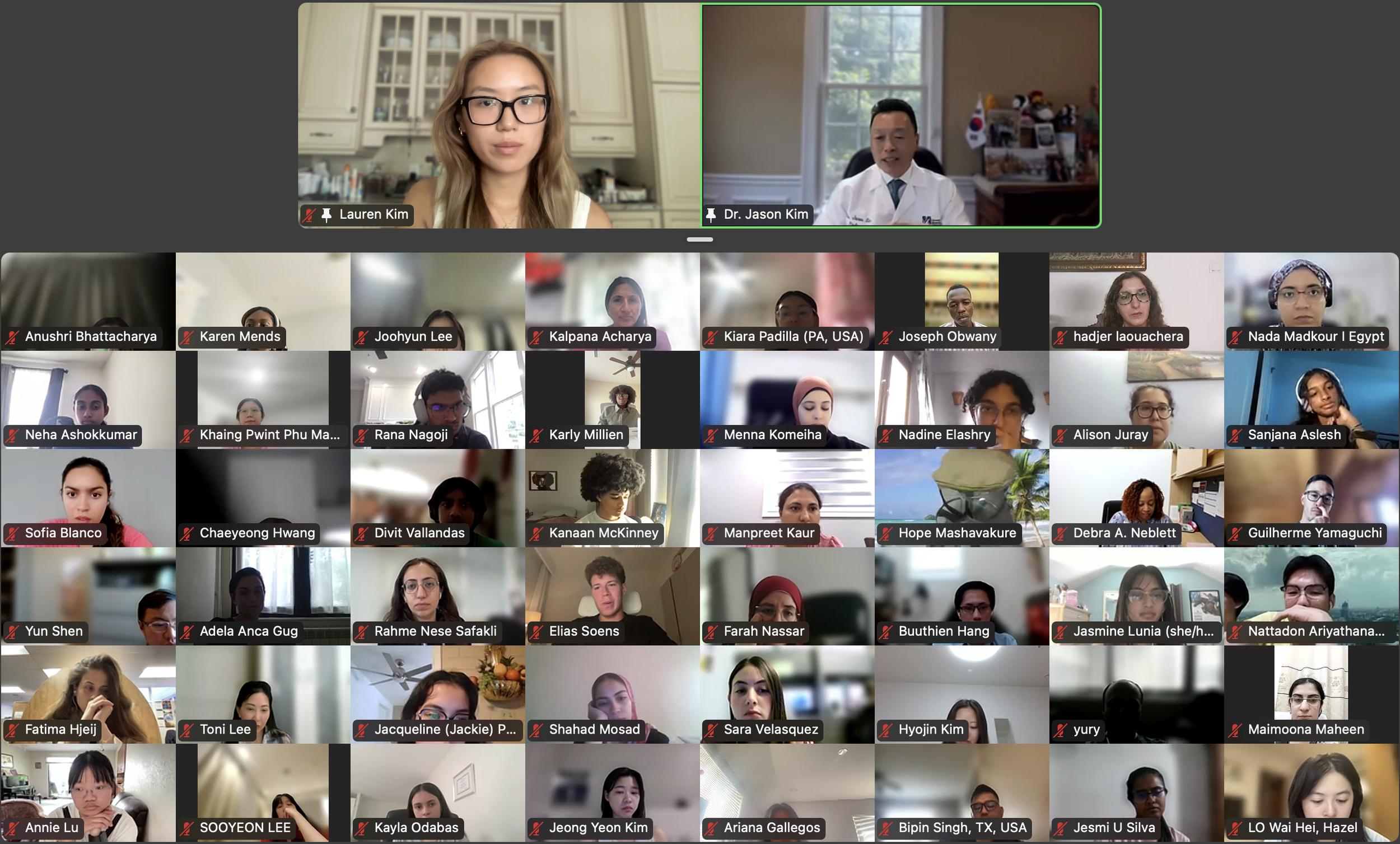 DVSC25-Session 2 Dr. Kim-Interns 5.png