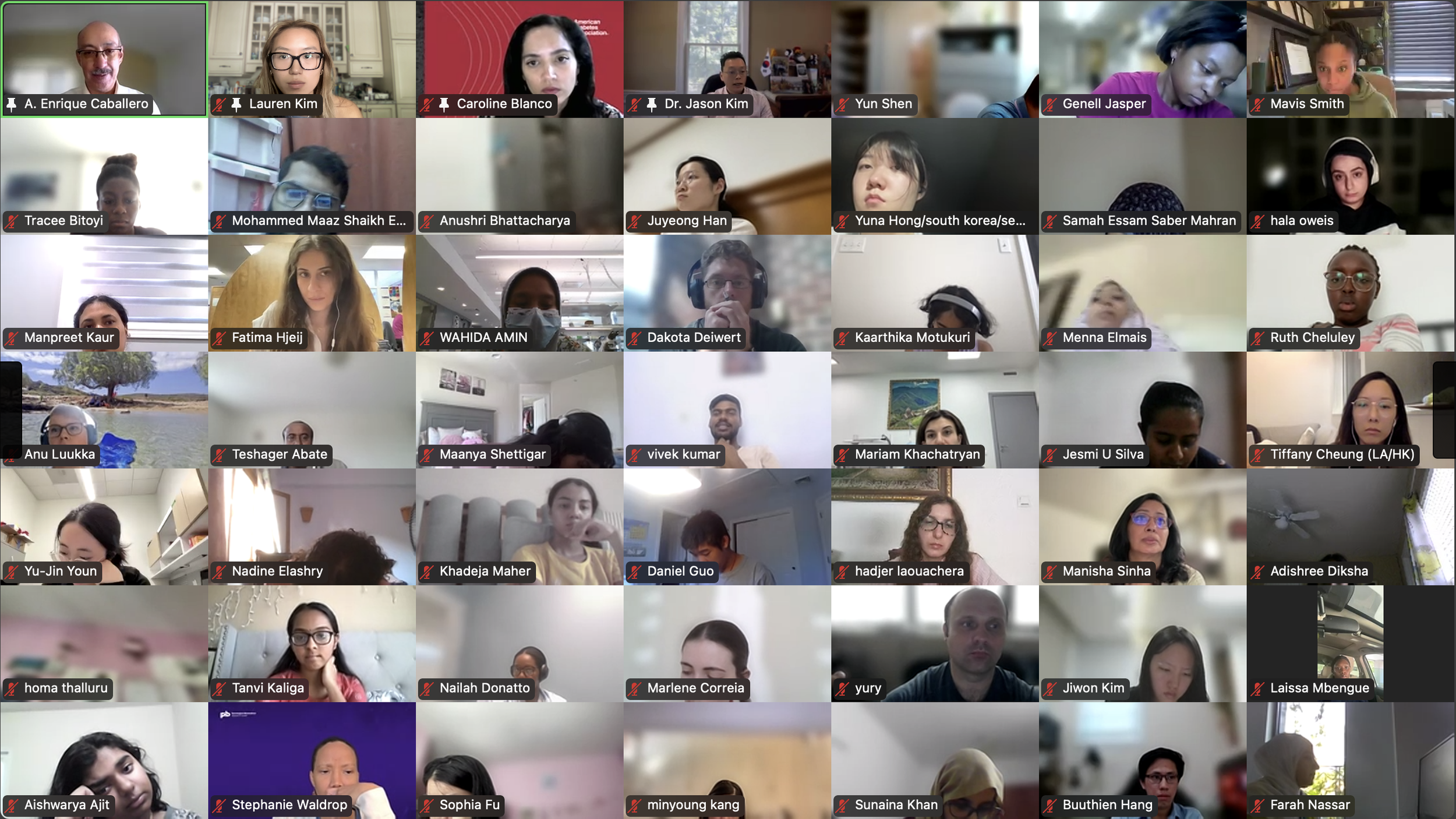DVSC25-Session 5 Dr. Caballero-Interns 9.png