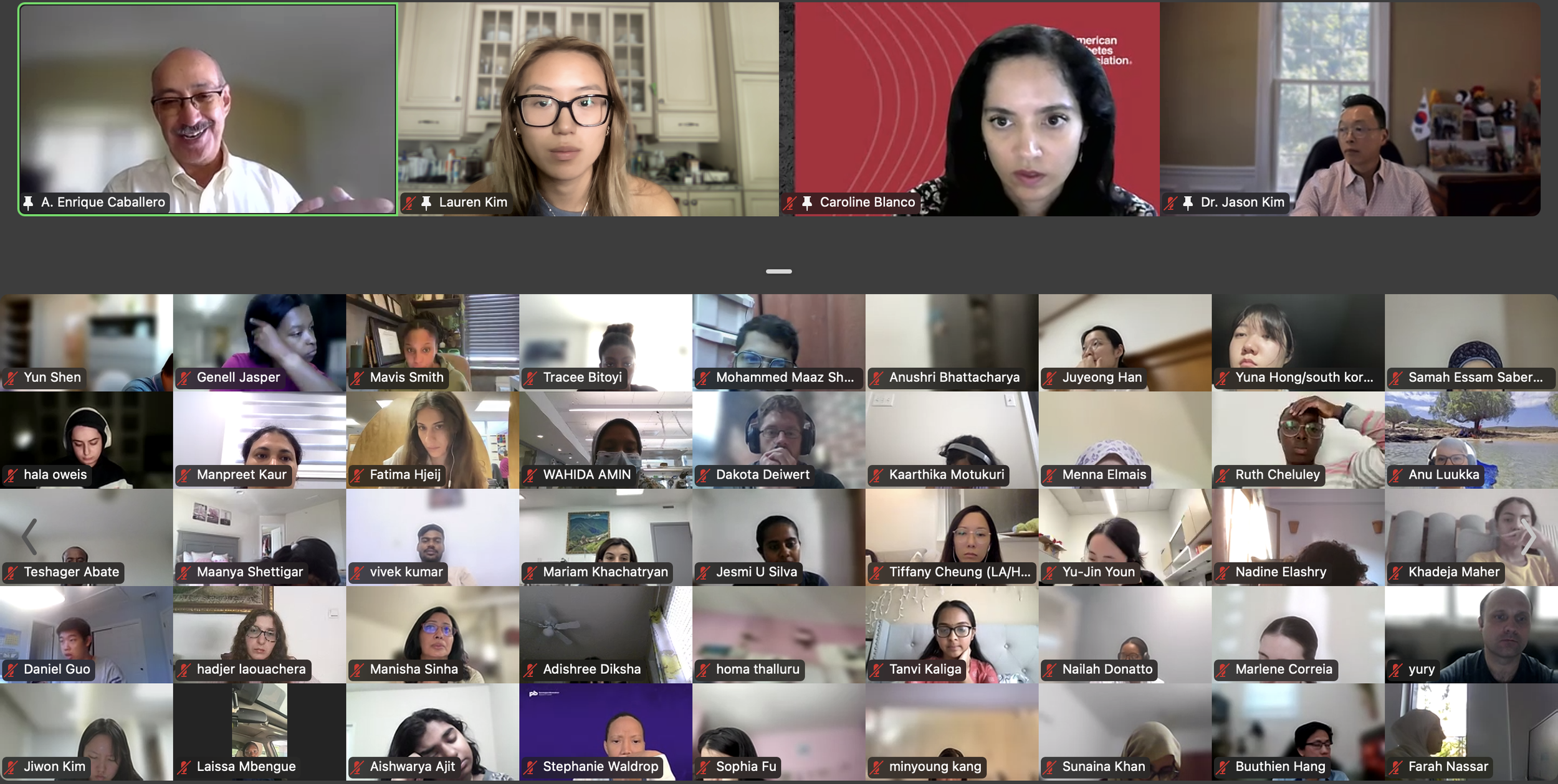 DVSC25-Session 5 Dr. Caballero-Interns 10.png