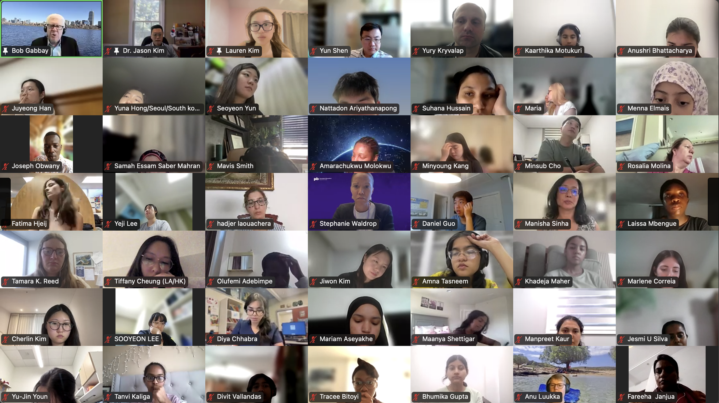 DVSC25-Session 9 Dr. Gabbay-Interns 12.png