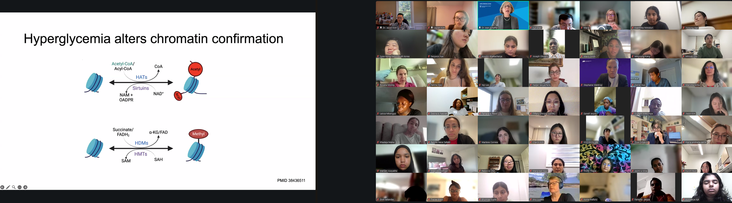 DVSC25-Session 10 Schaffer Slide 8.png