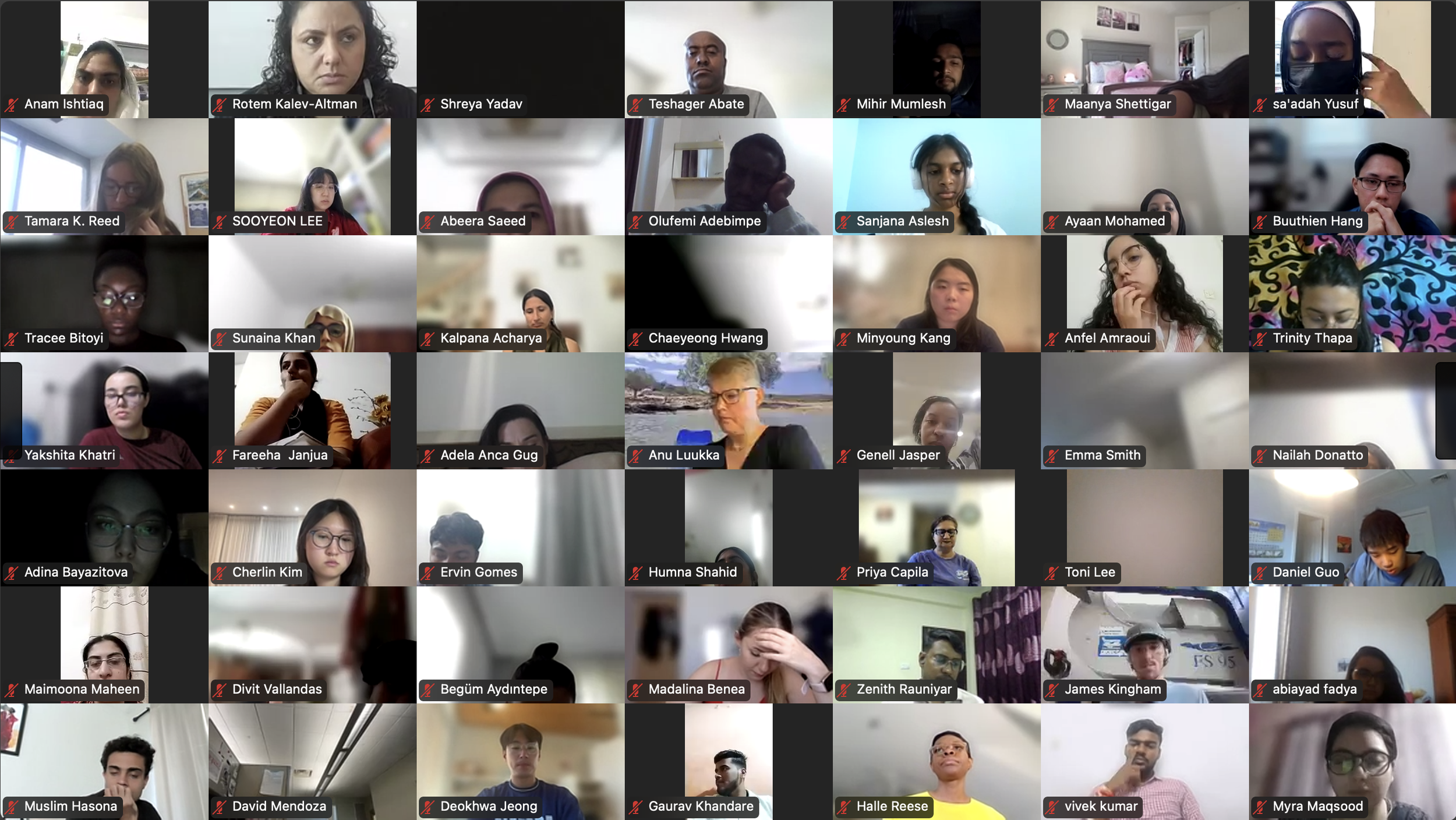 DVSC25-Session 7 Interns 2.png