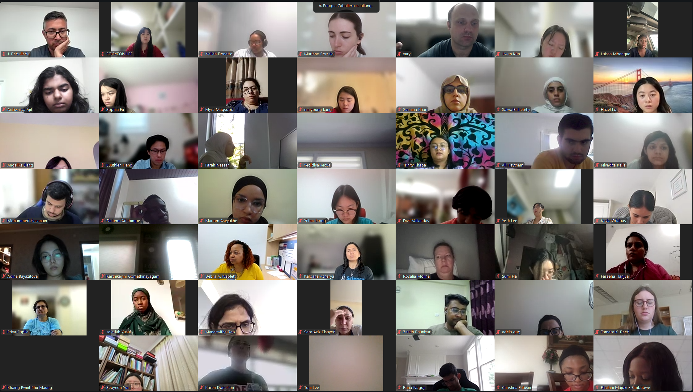 DVSC25-Session 5 Interns 6.png