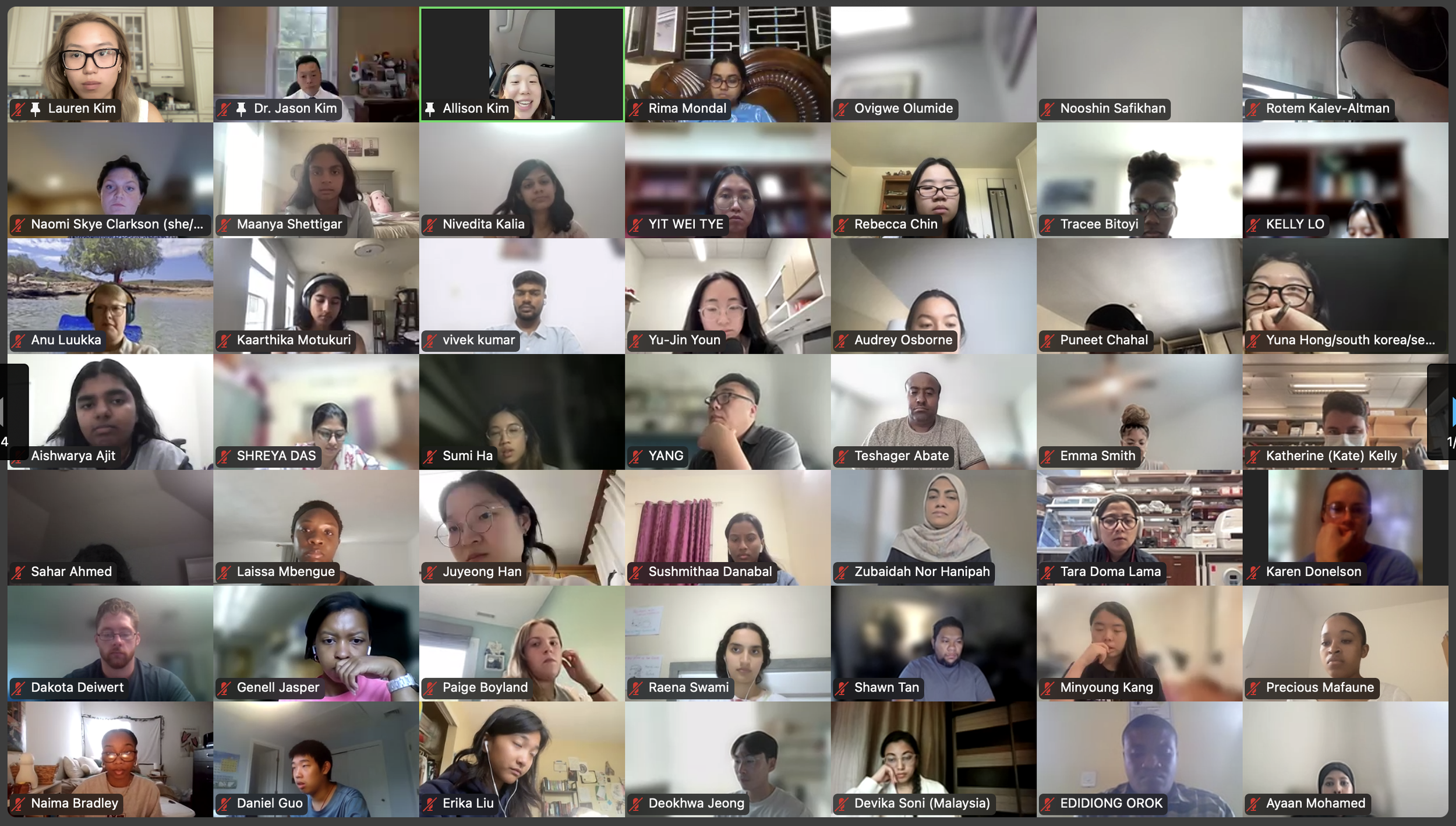 DVSC25-Session 1 Allison Kim.png