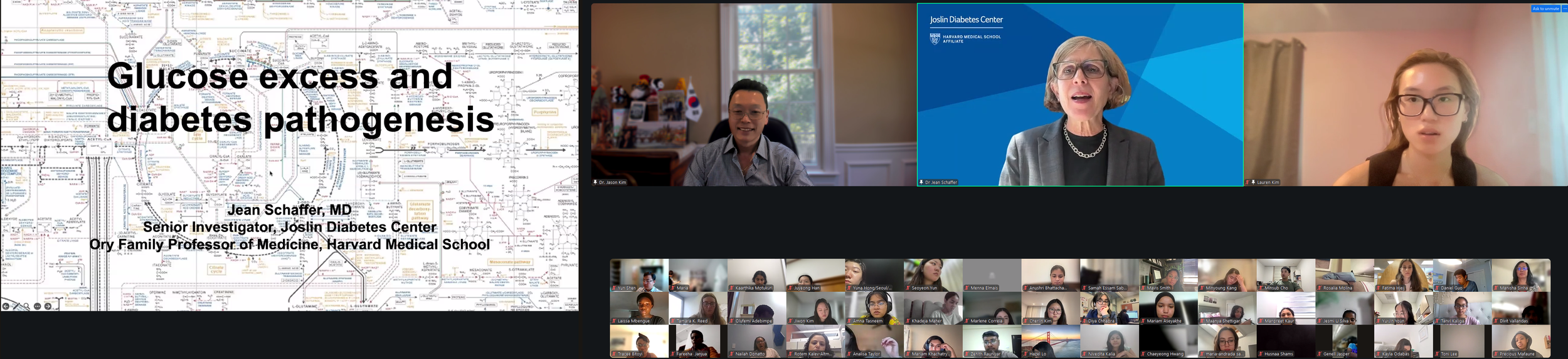 DVSC25-Session 10 Schaffer Title.png