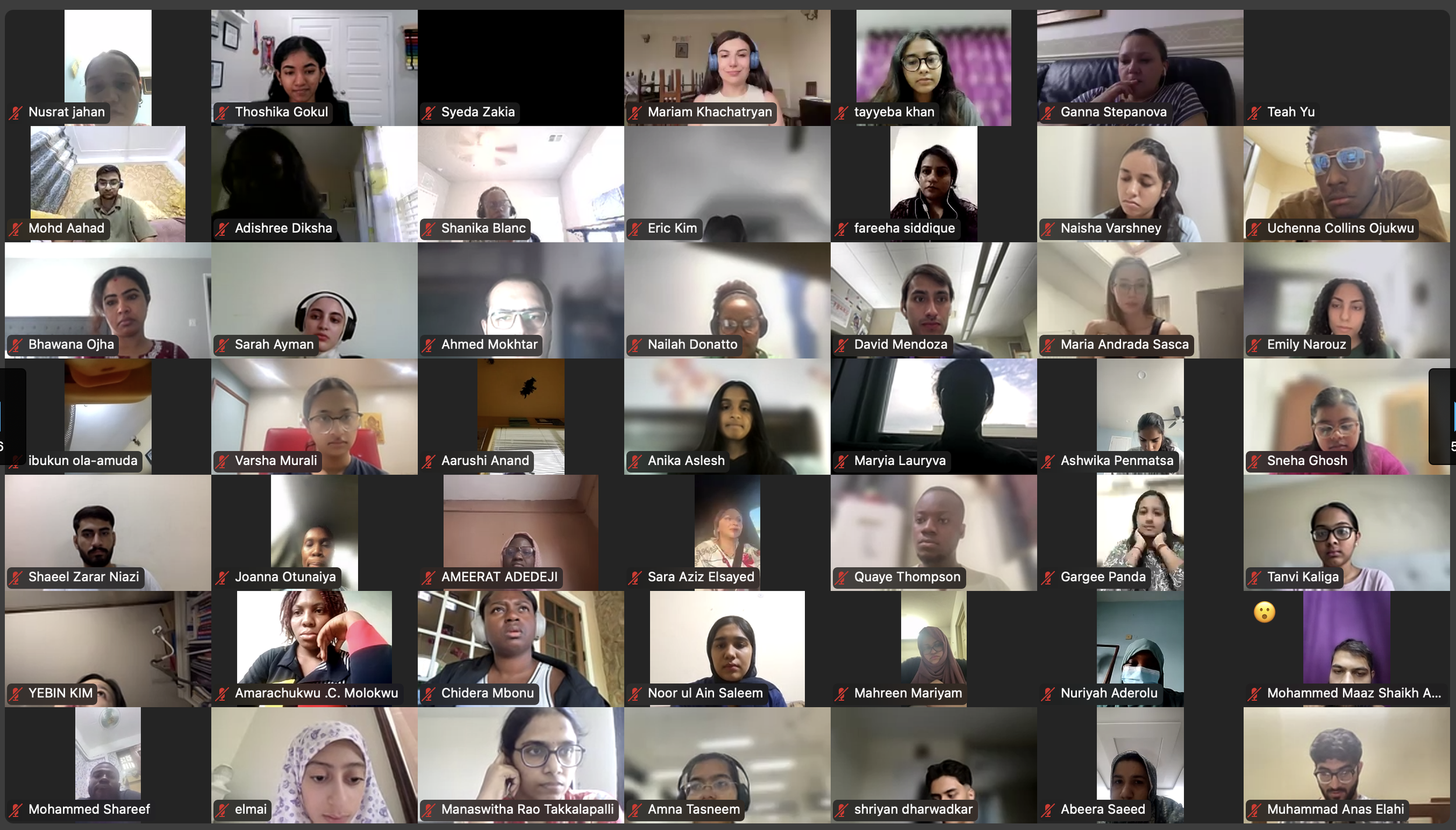 DVSC25-Session 1 Interns 9.png