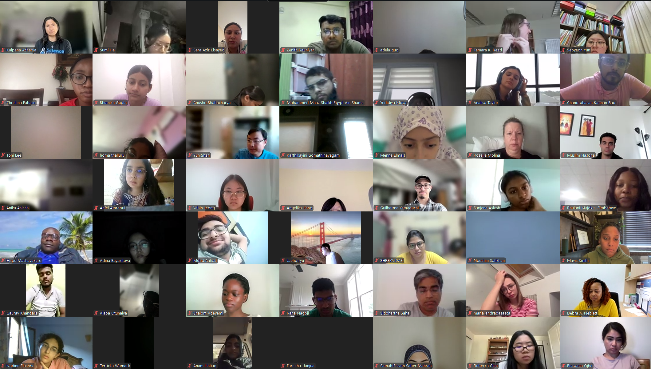 DVSC25-Session 6 Interns 3.png