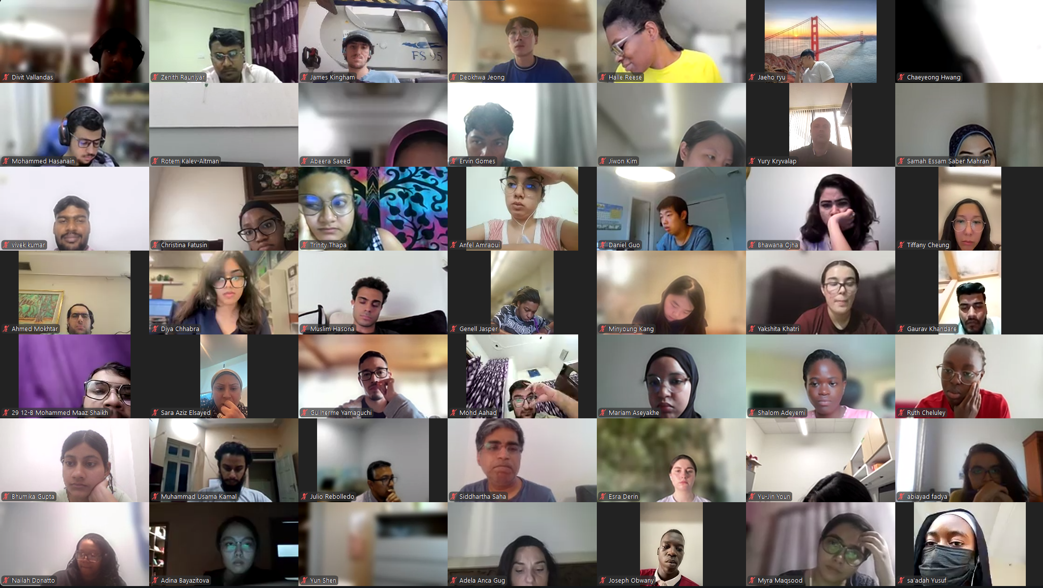 DVSC25-Session 8 Interns 1.png