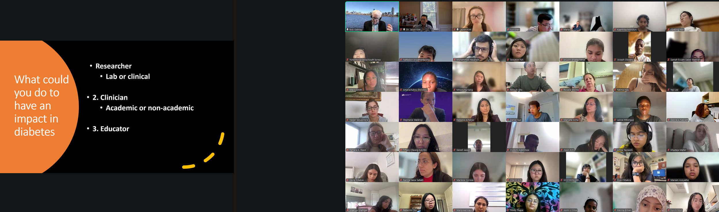 DVSC25-Session 9 Dr. Gabbay Slide 5.png