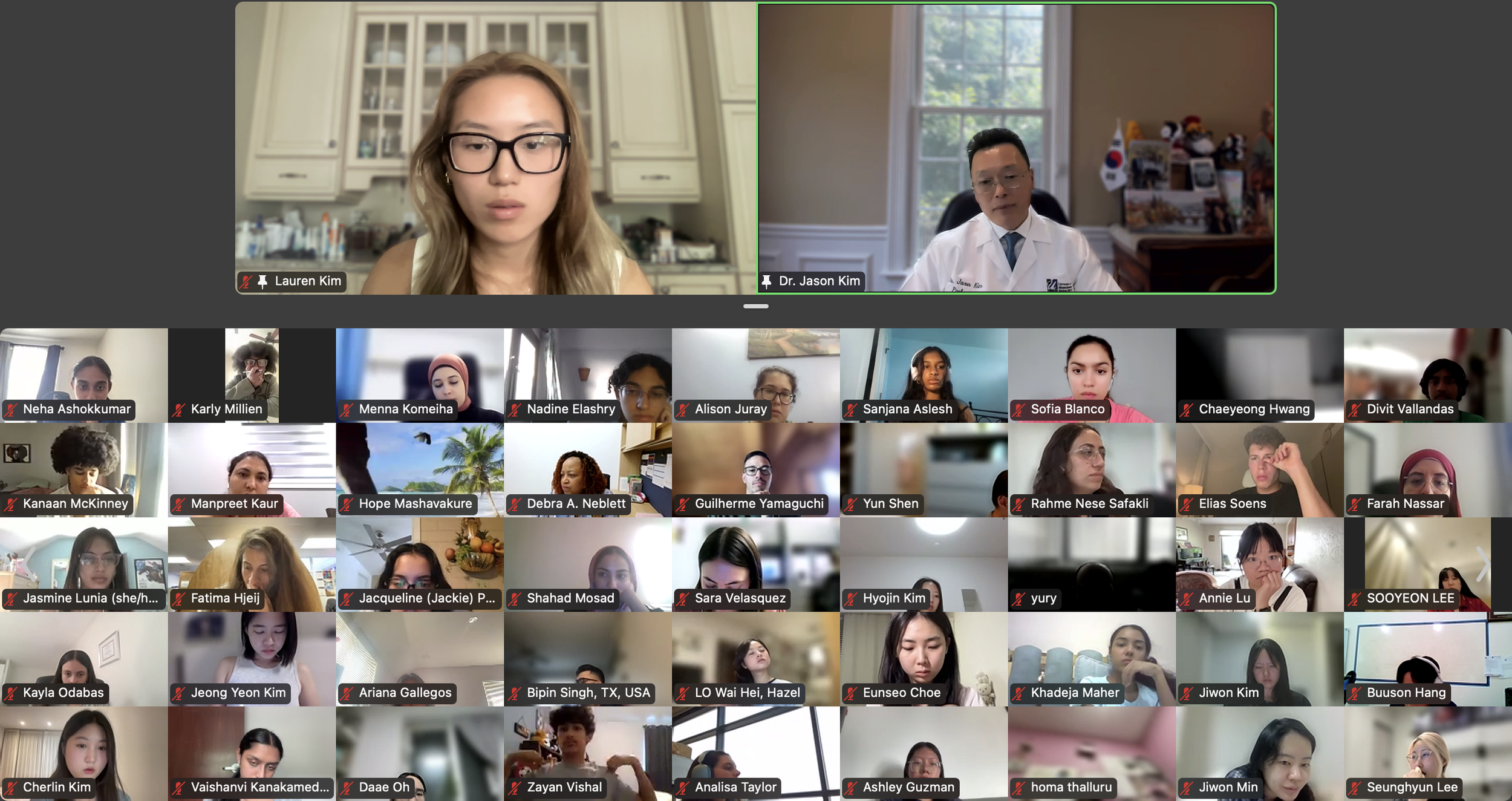 DVSC25-Session 2 Dr. Kim-Interns 3.png