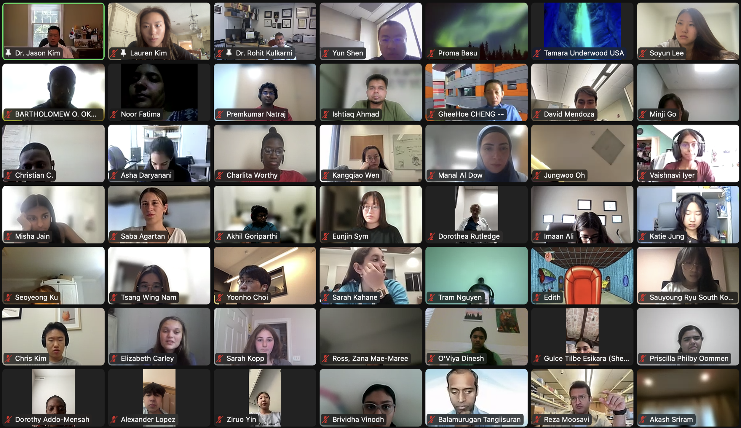 DVSC24 Session 7 Dr. Rohit Kulkarni Intro-Interns 1 (3).png