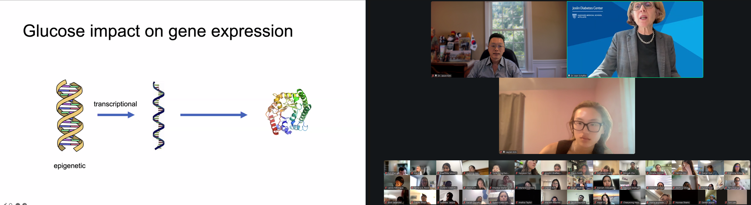 DVSC25-Session 10 Schaffer Slide 7.png