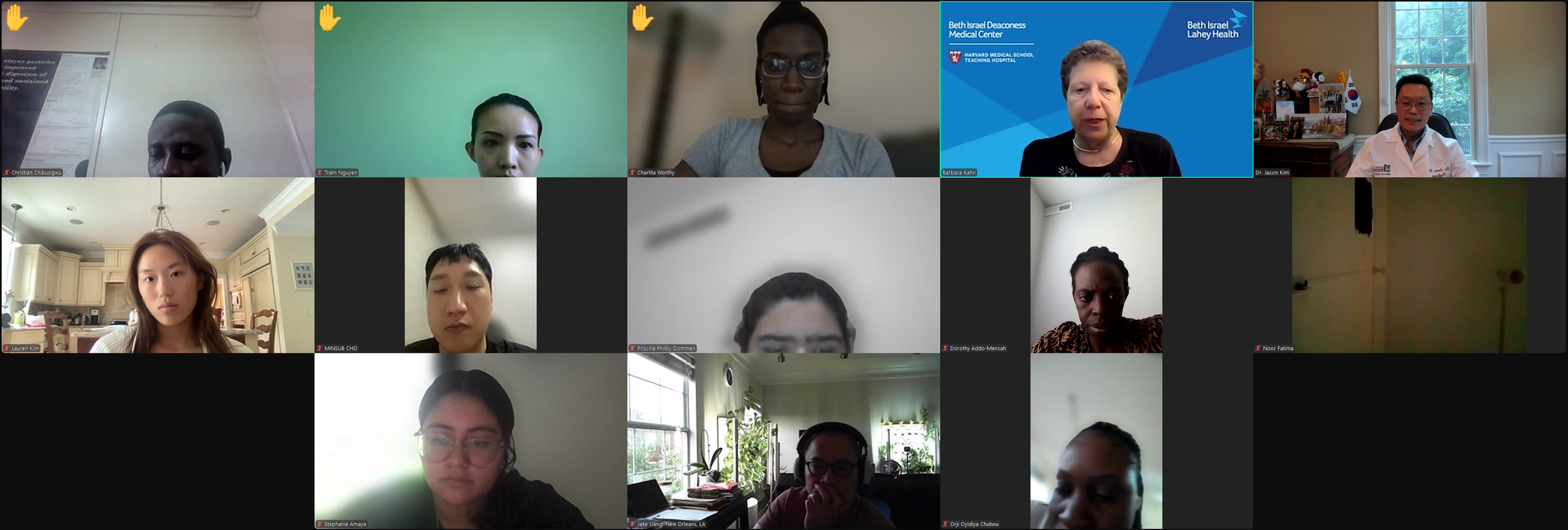 DVSC24 Session 12 Open-Mic Session 1 (36).png