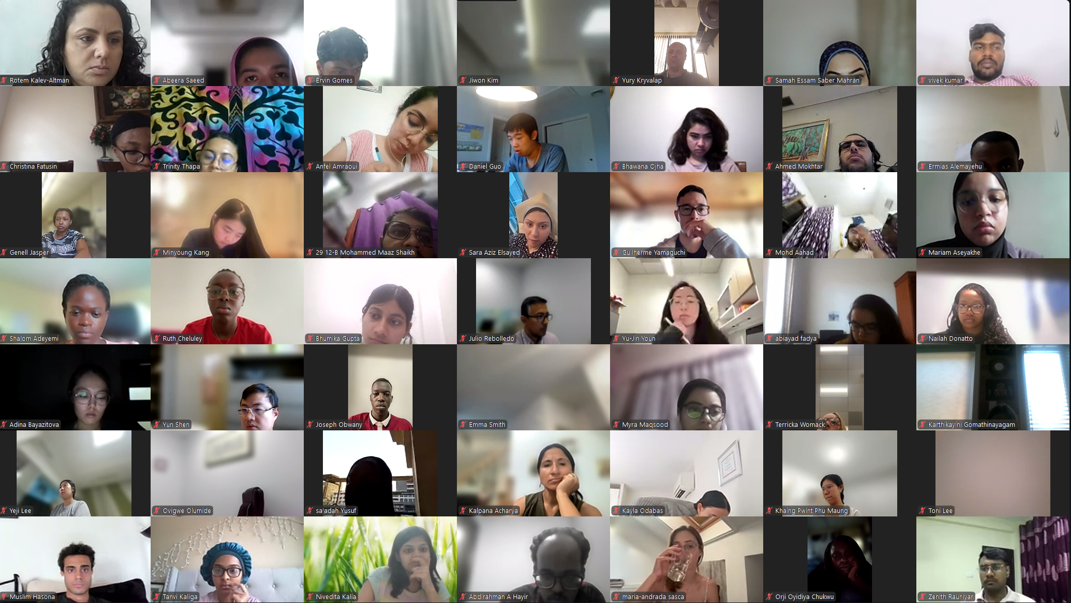 DVSC25-Session 8 Interns 8.png