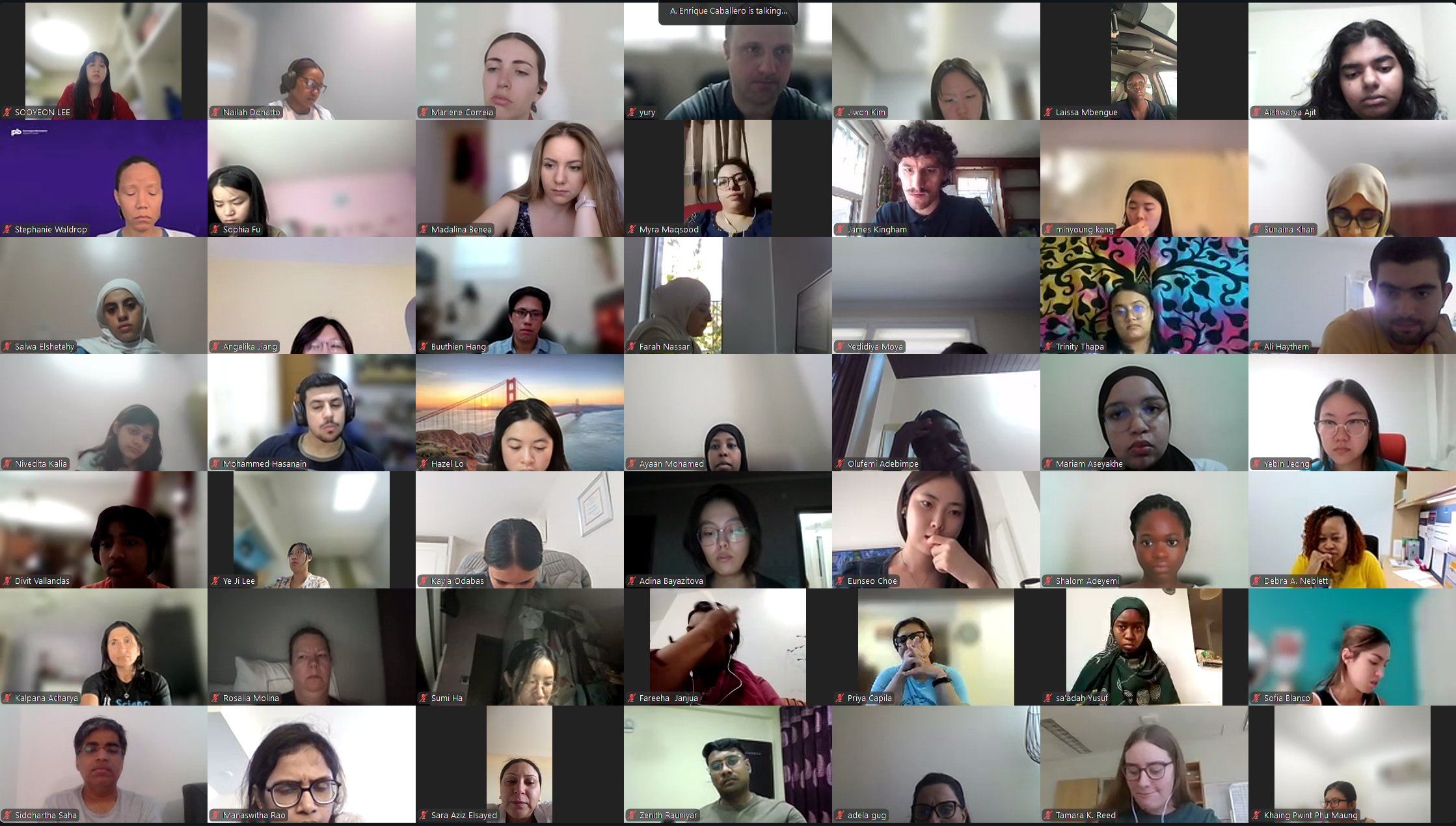 DVSC25-Session 5 Interns 3.png