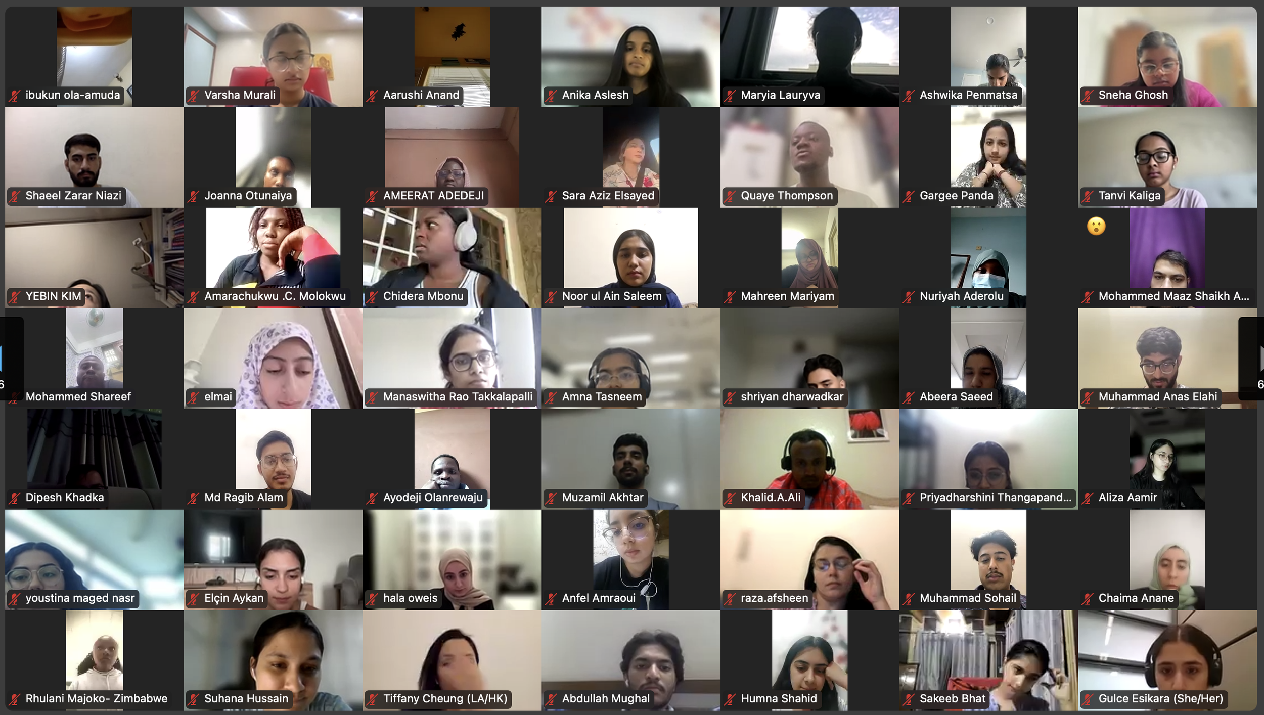 DVSC25-Session 1 Interns 10.png