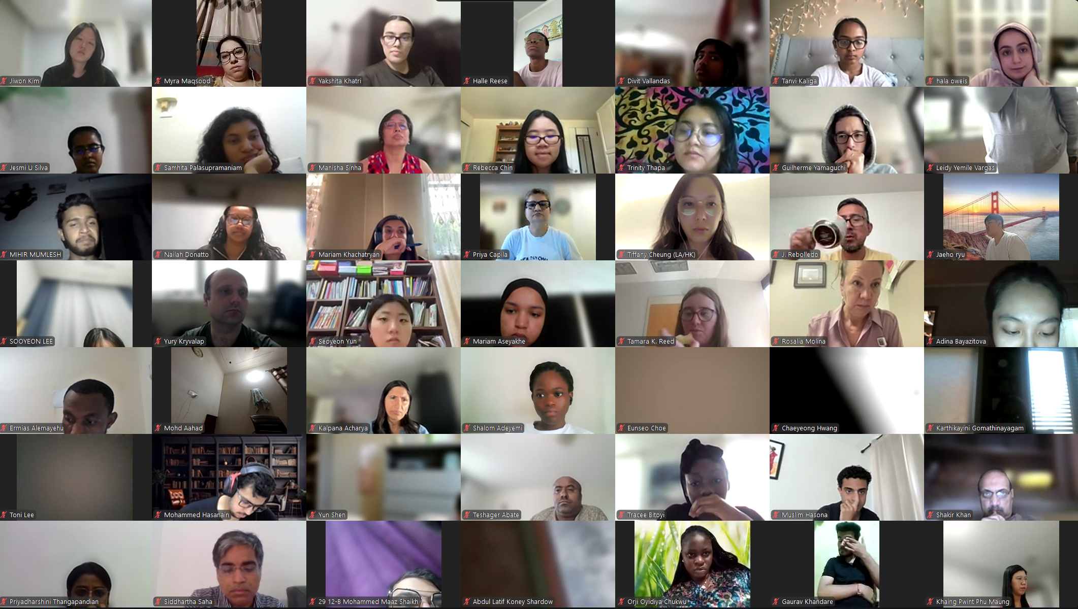 DVSC25-Session 11 Interns 6.png