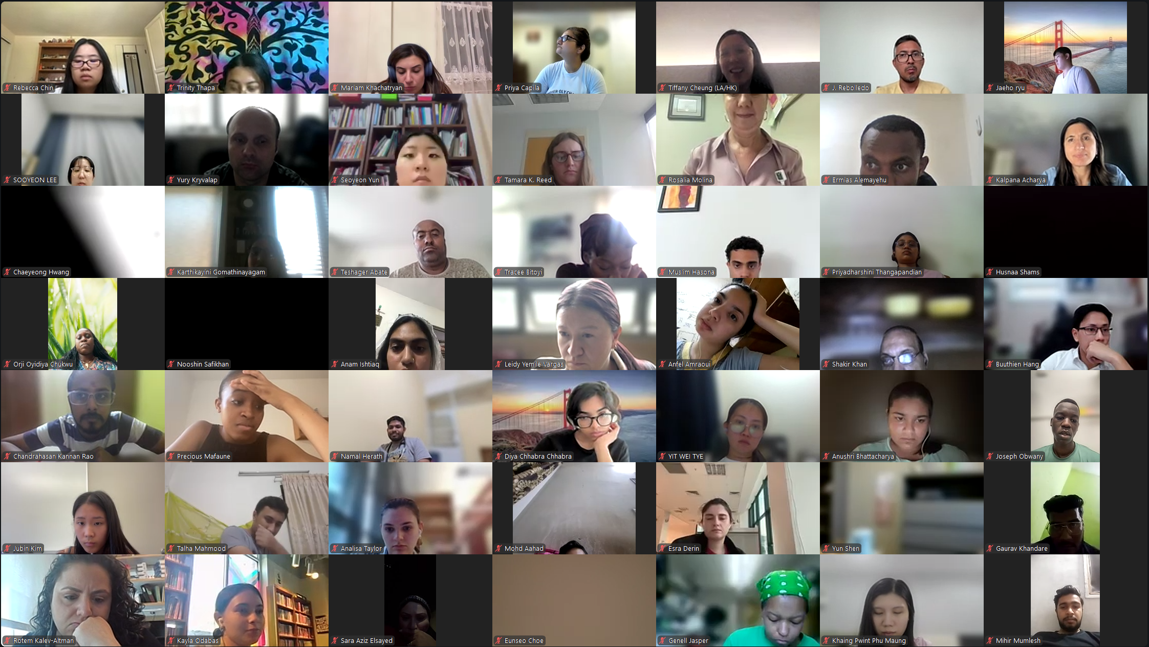 DVSC25-Session 13 Interns 2.png