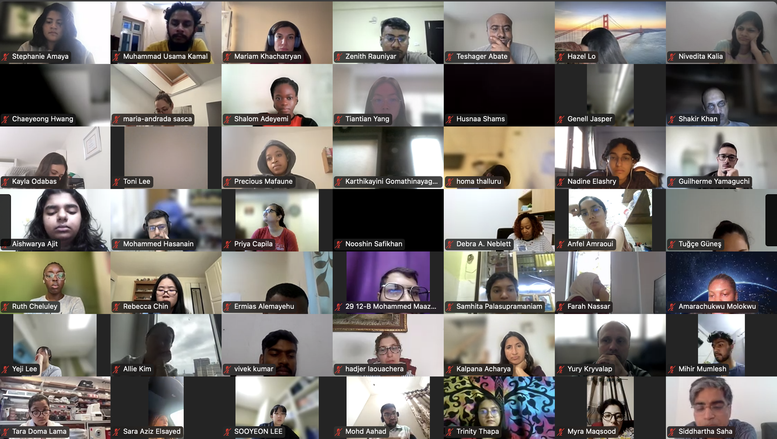 DVSC25-Session 9 Interns 9.png