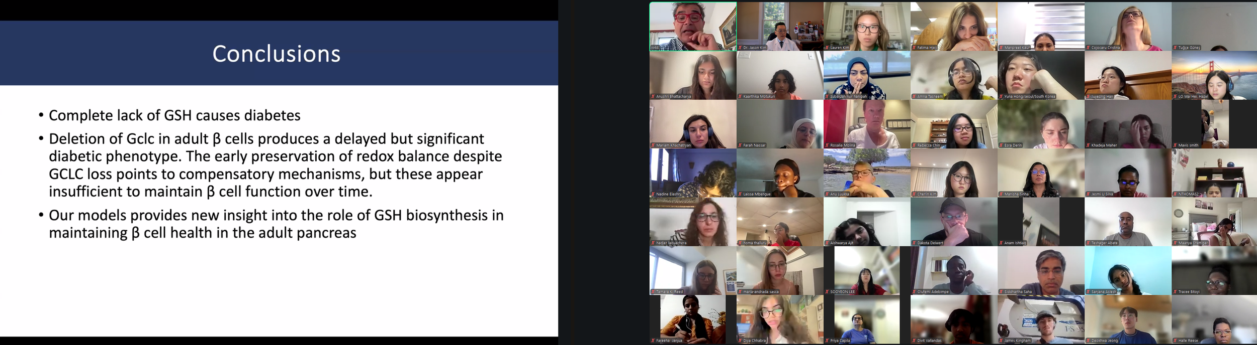 DVSC25-Session 8 Dr. Vasiliou Slide 8.png