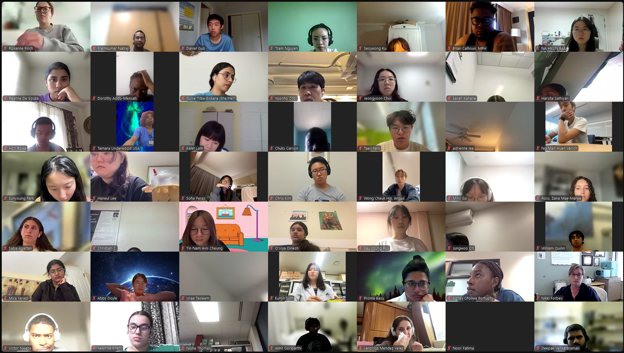 DVSC24 Session 4-Dr. Maren Laughlin-Intern 4 (11).png