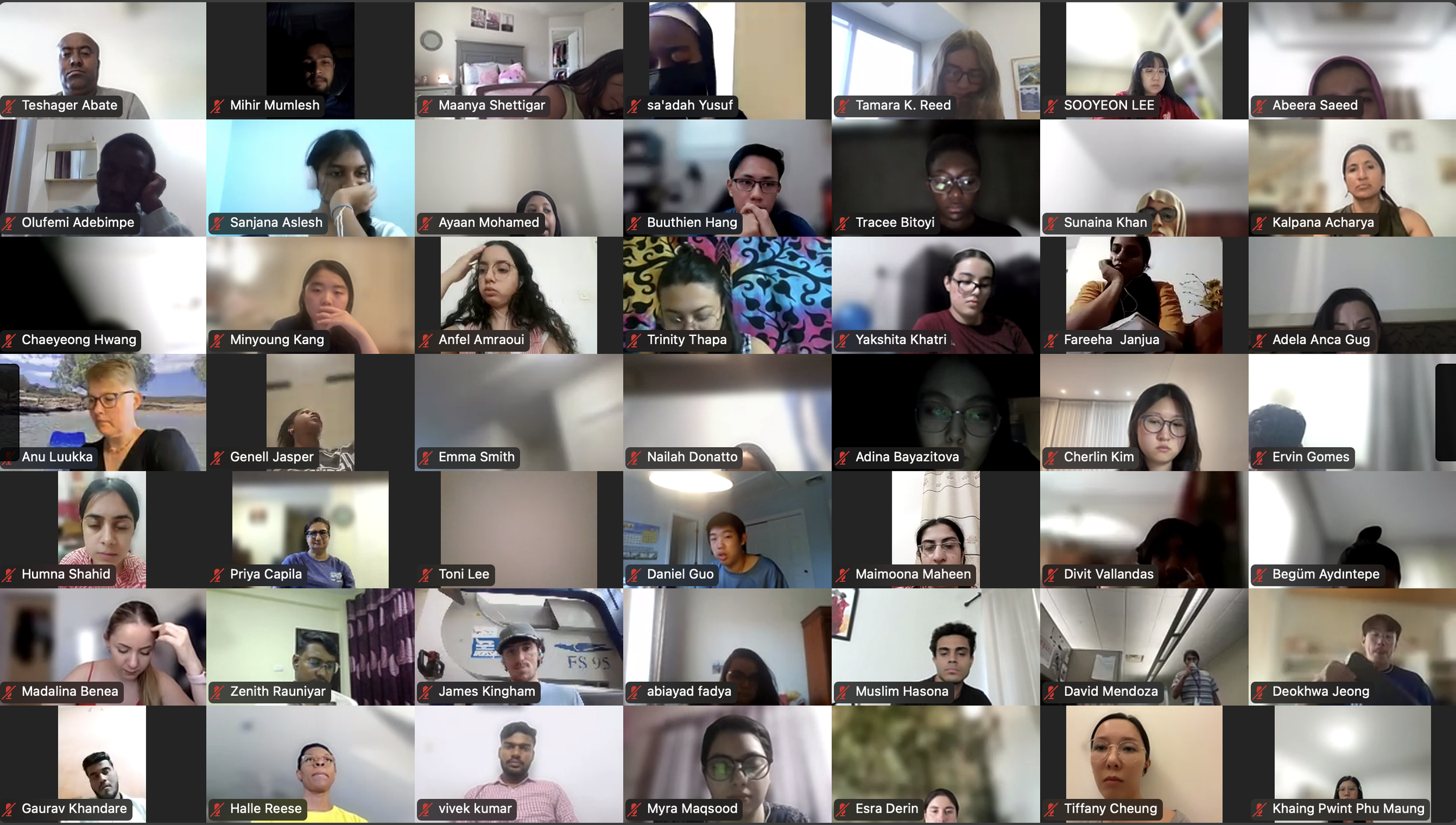 DVSC25-Session 7 Interns 3.png