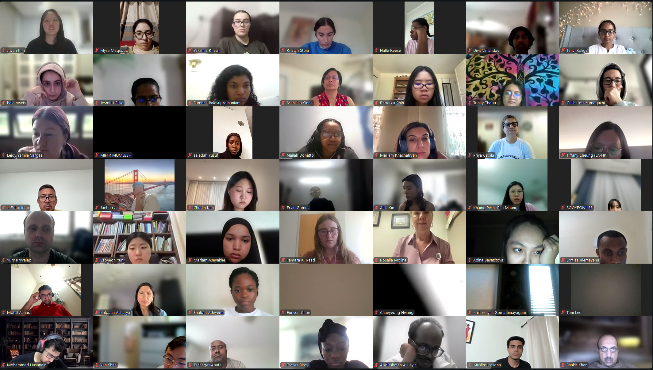 DVSC25-Session 11 Interns 2.png