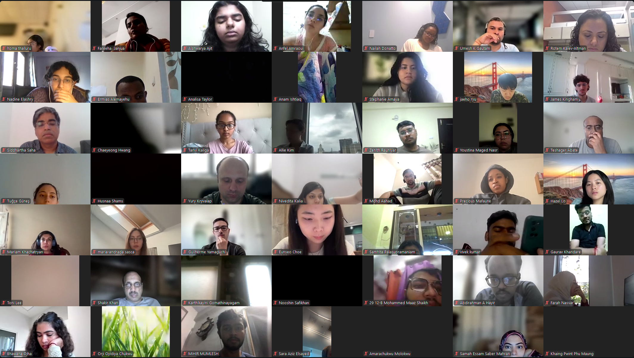 DVSC25-Session 10 Interns 1.png