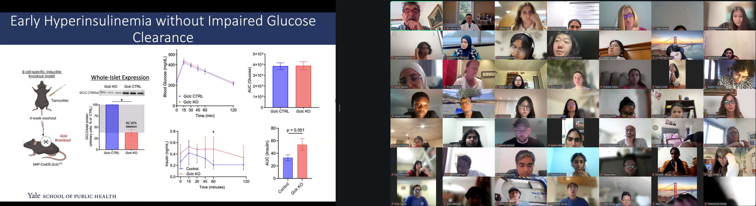 DVSC25-Session 8 Dr. Vasiliou Slide 7.png
