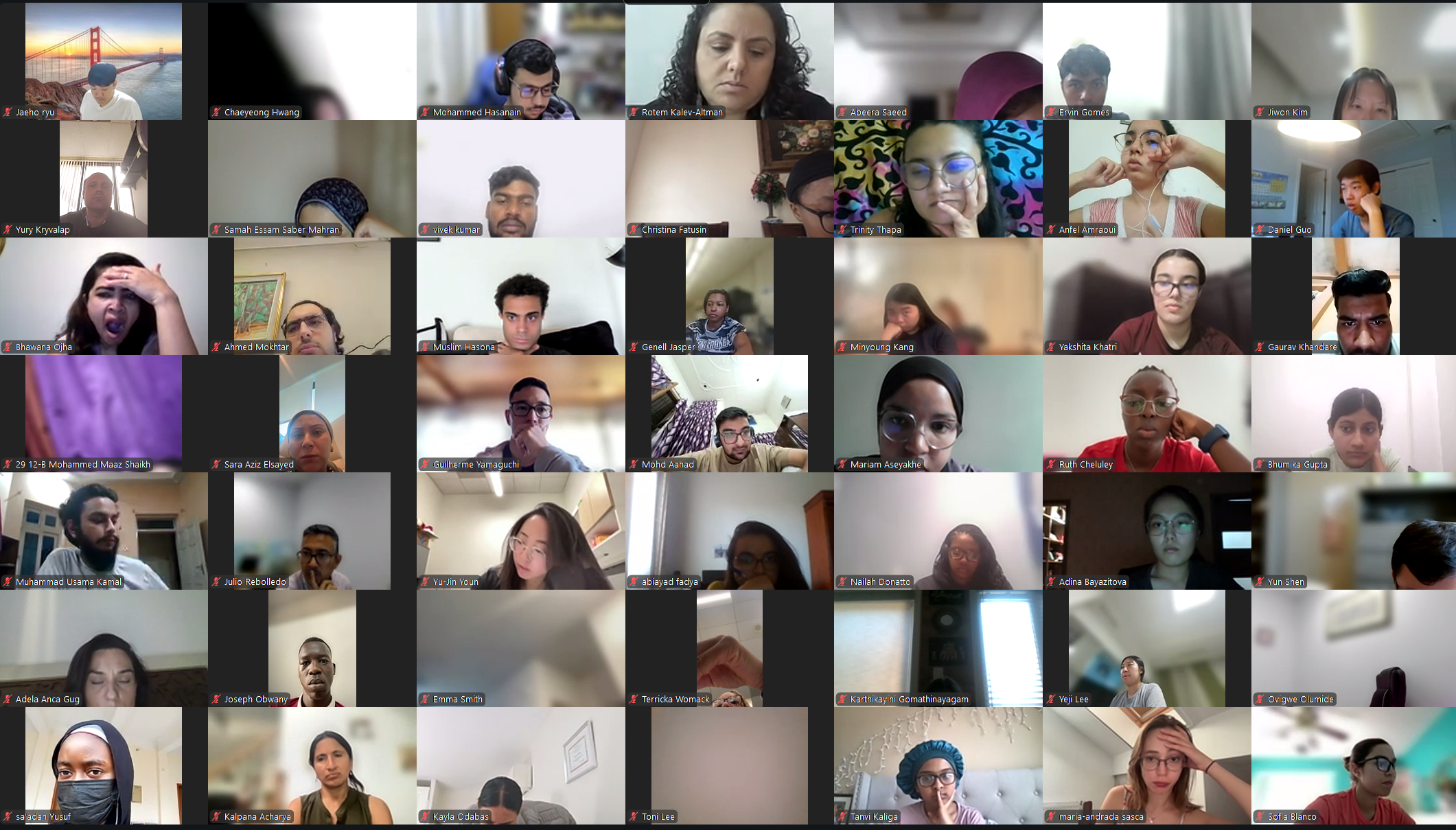 DVSC25-Session 8 Interns 4.png
