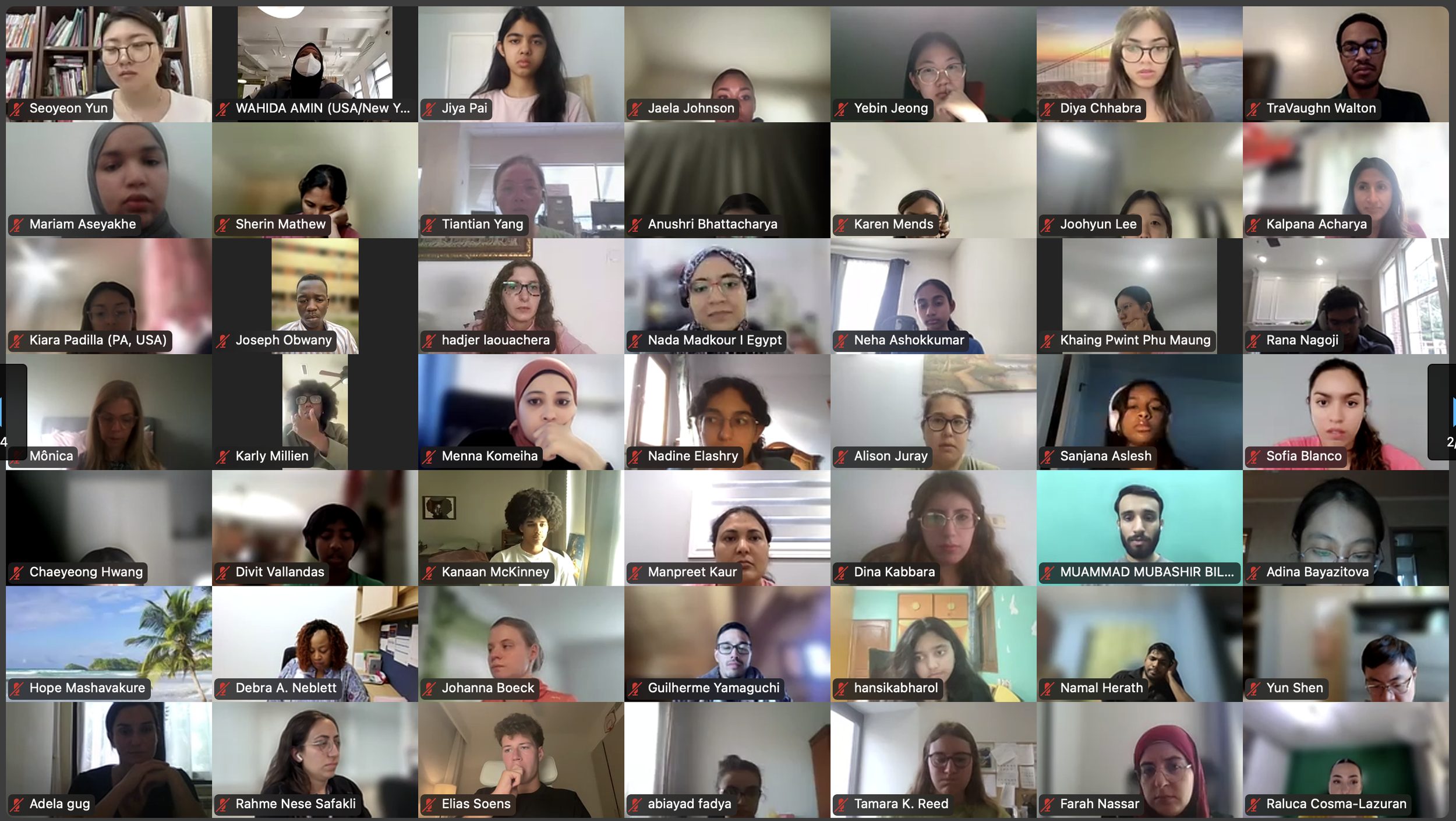 DVSC25-Session 1 Interns 1.png