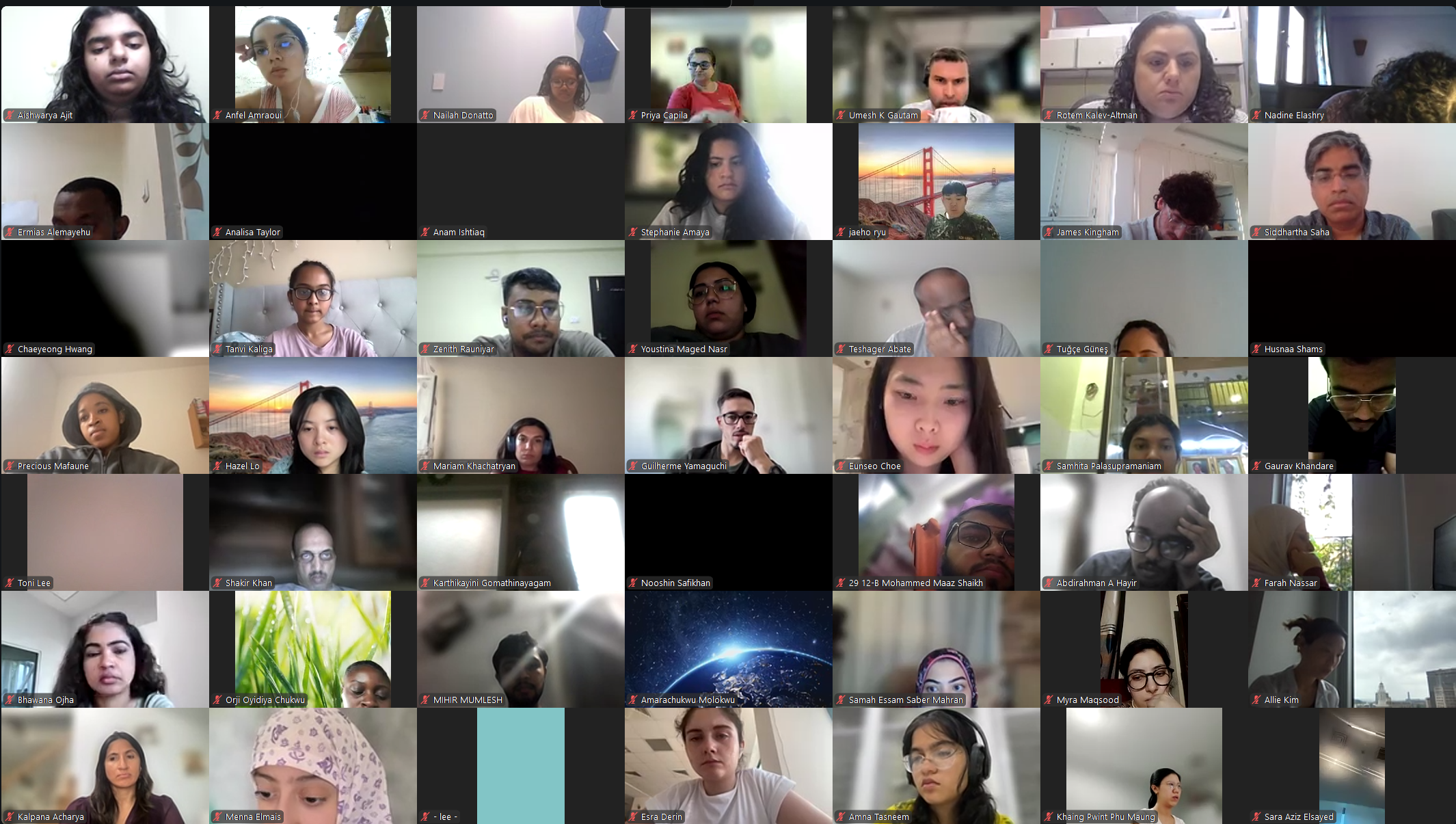 DVSC25-Session 10 Interns 2.png