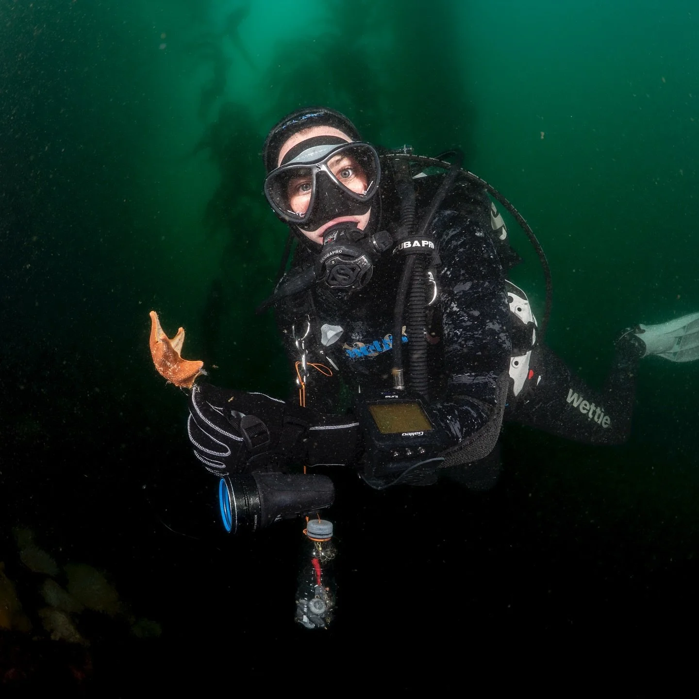 On a dive with @bahuelga (who took most of these photos) I found so much fishing debris, and worse, hooked animals that had been left to suffer for no reason. We were inspired to gather our ocean-loving friends and get the trash out of the water&hell